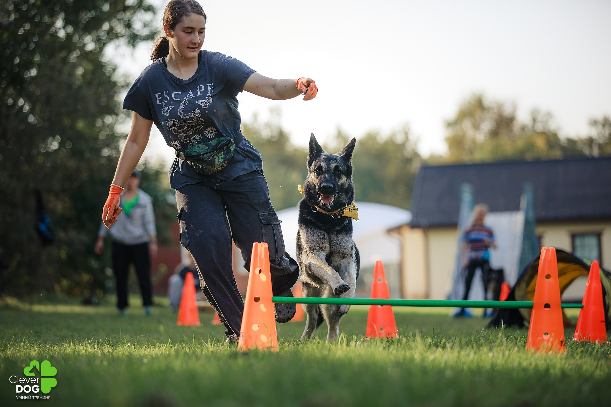 Кинологический лагерь CleverDog, 2024. Фотограф-анималист Mary Mart — Москва, Питер