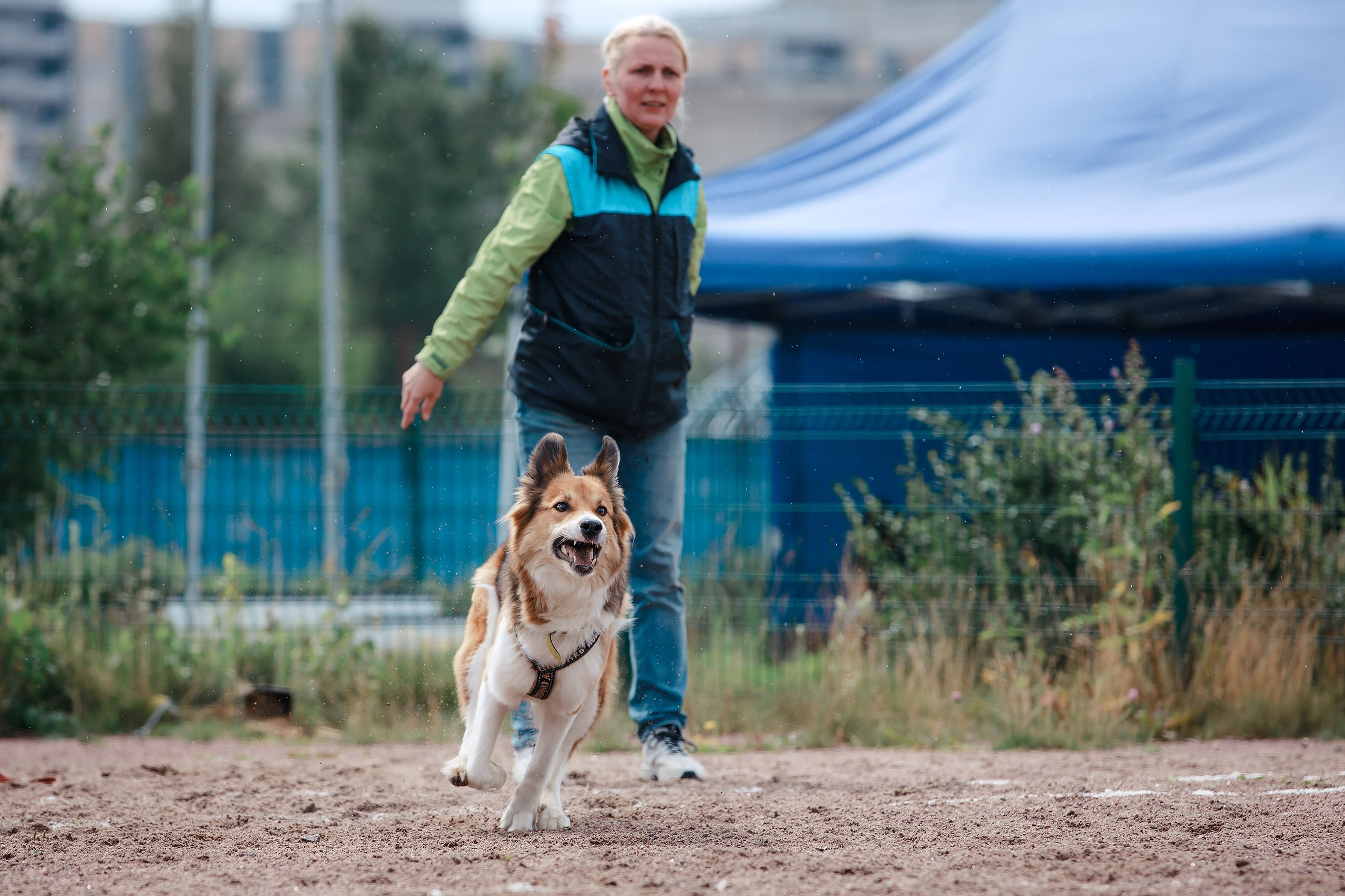 Питч&Гоу + веселые старты. Фотограф-анималист Mary Mart — Москва, Питер