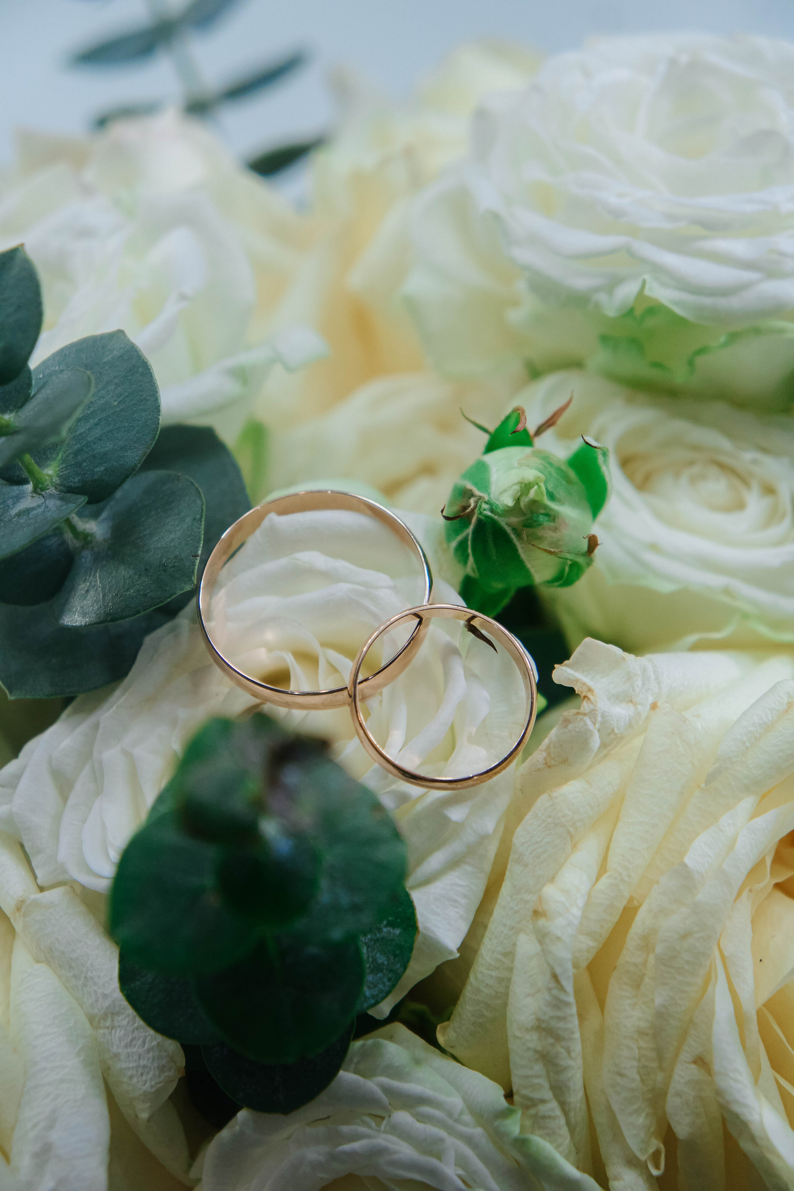 Павел & Анастасия. Фотограф / видеограф в Москве и Сочи Sofia Riversong