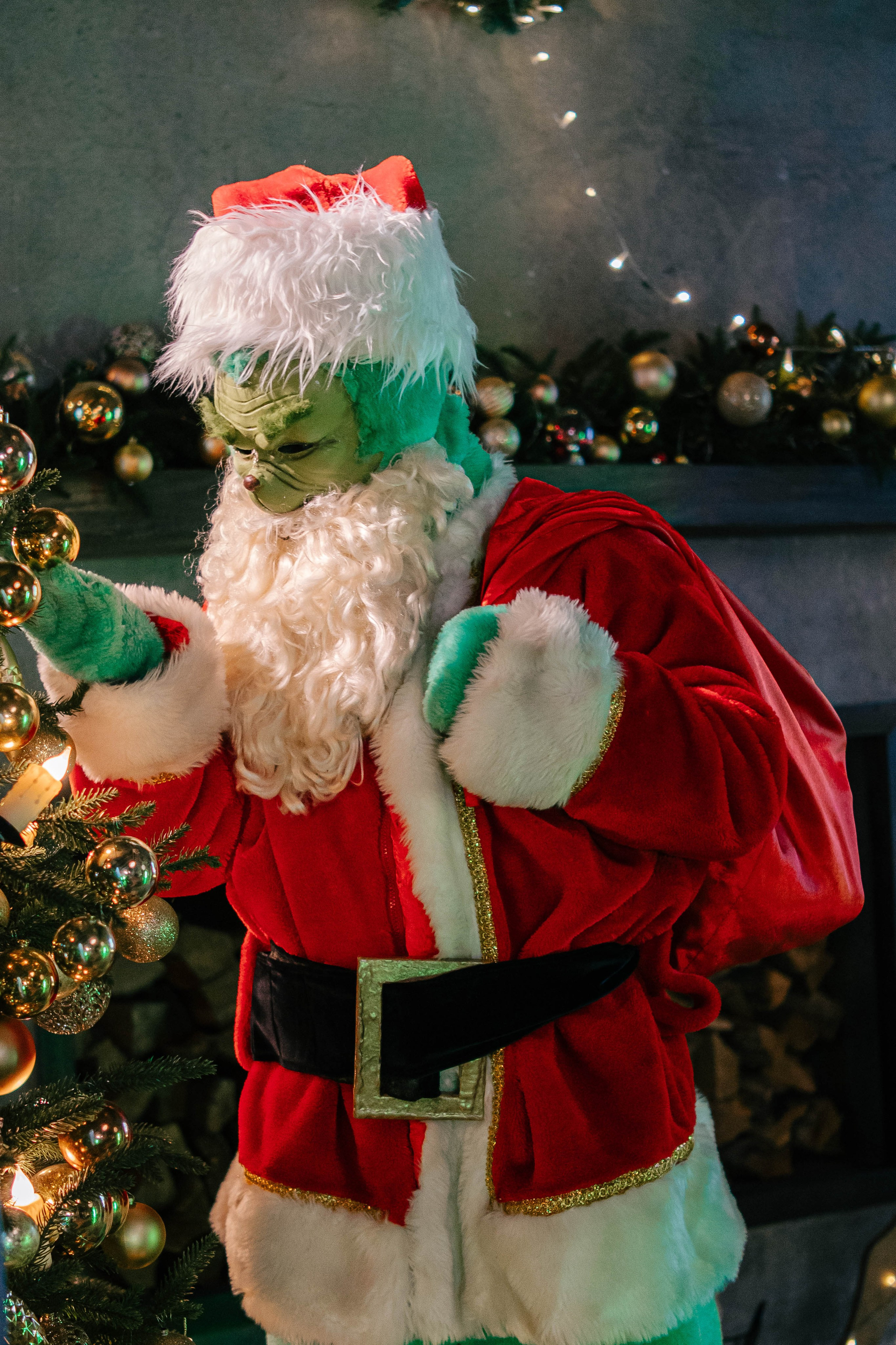 Гринч Circus Zone. Фотограф / видеограф в Москве и Сочи Sofia Riversong