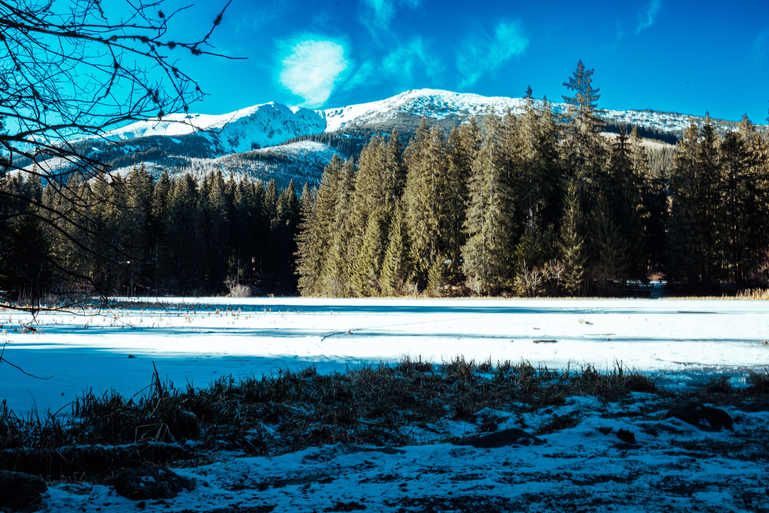 Лыжи 2025. Фотограф Владислав Воронович