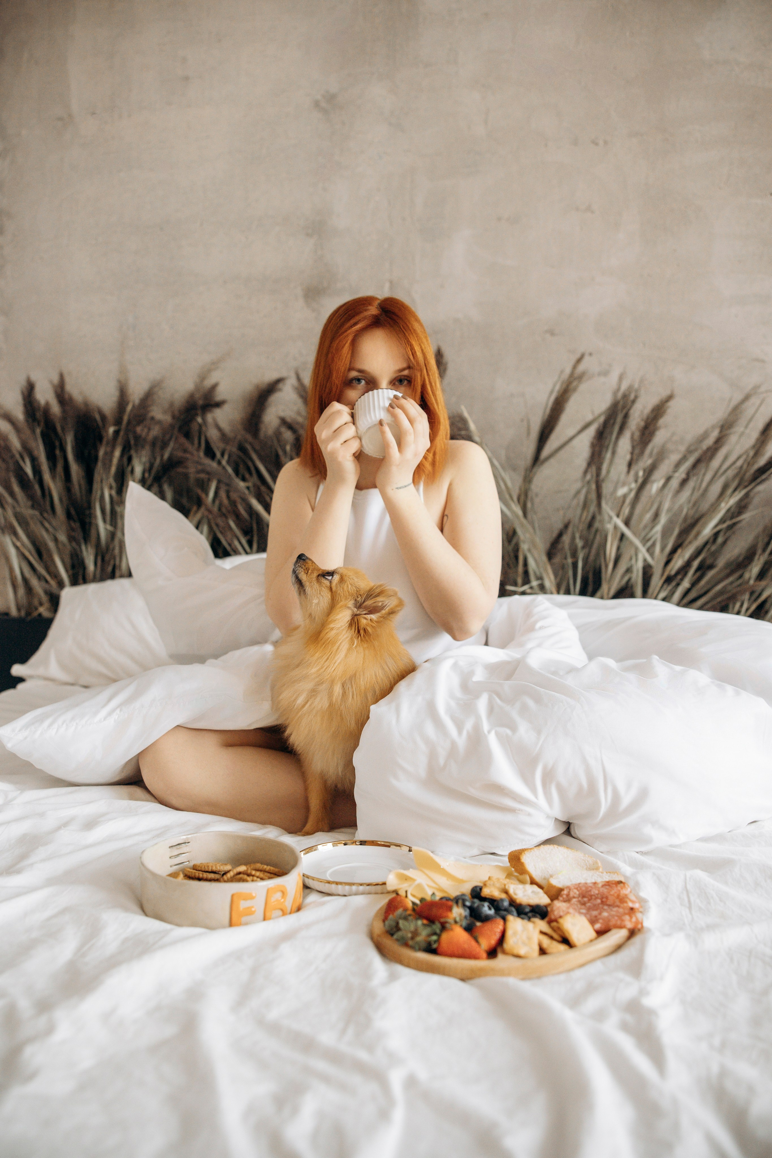 Съемка в студии с собакой. Анастасия Белаш