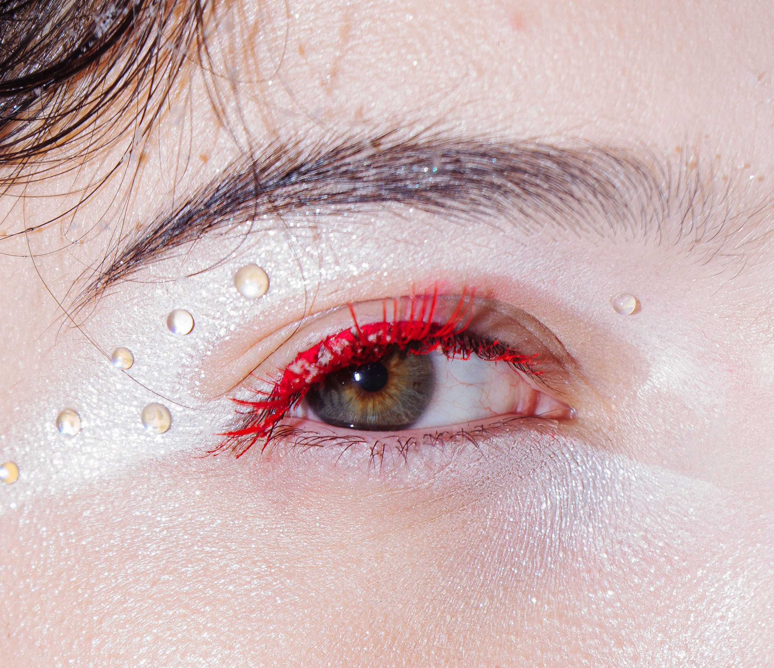 Лале. Фотограф Пудинова Настя