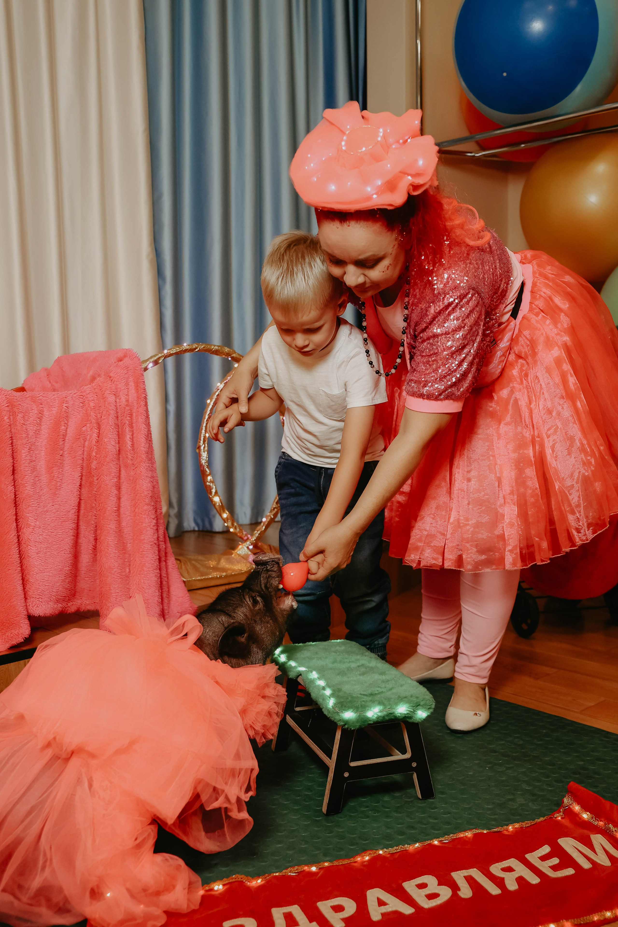 Белле 5 лет. Фотограф в Москве и любой точке земного шара Алёна Вялова (Чулкова)