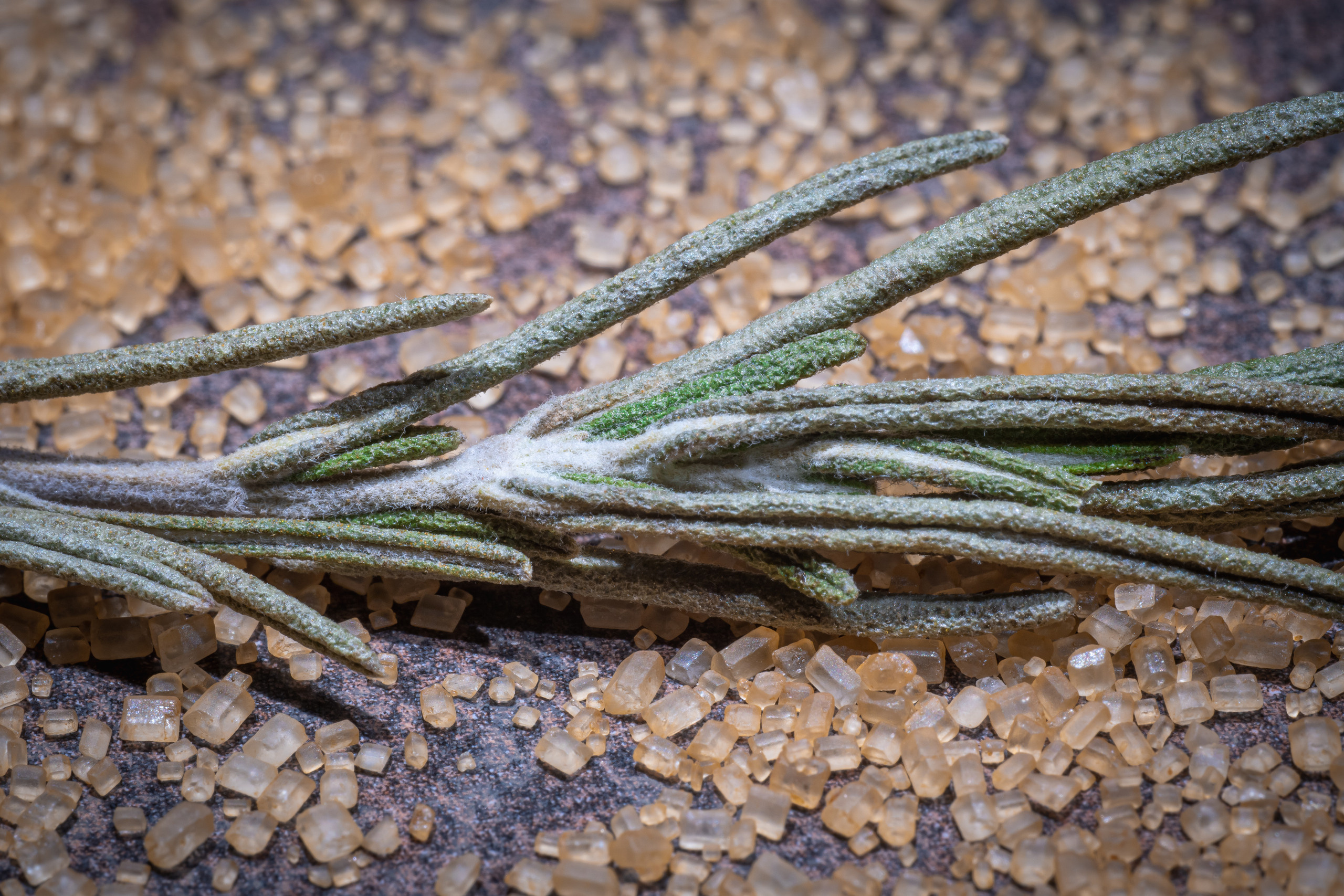 Веточка сухого розмарина и бурый сахар
