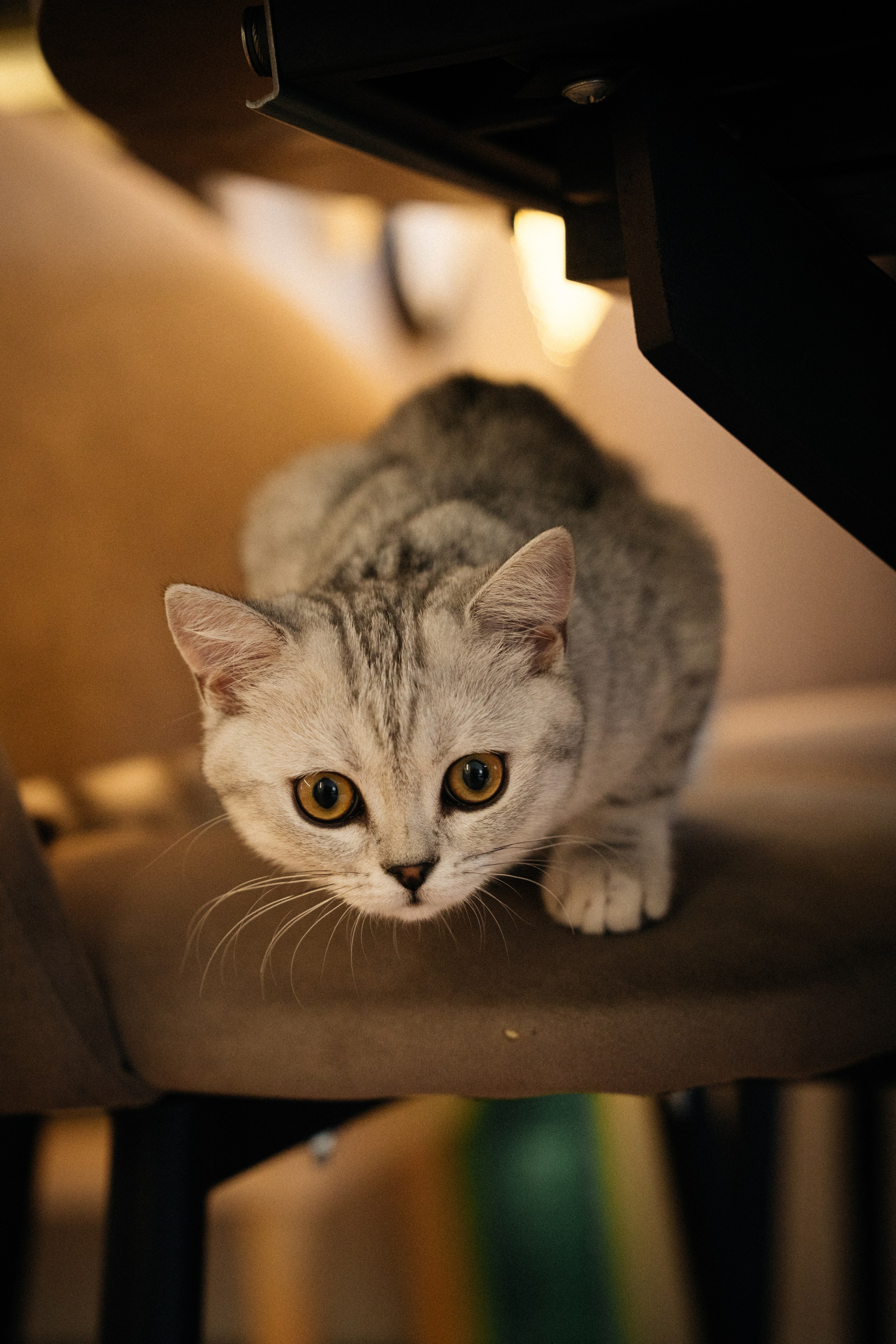 Семья Ксении и Максима. Фотограф | Юлия Арт| Обучение