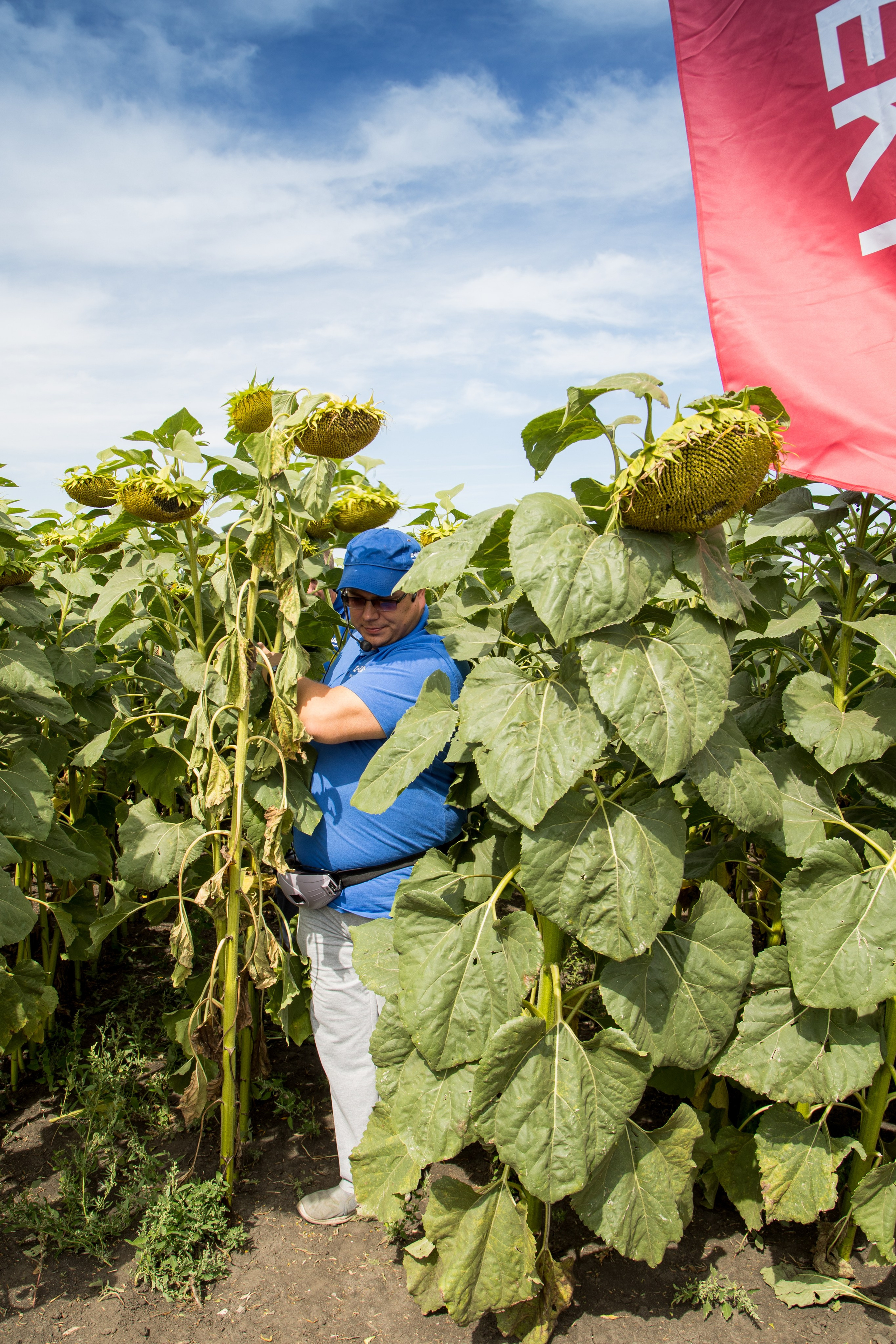 Решения для сельского хозяйства BASF 16.08.2022. Владислав Волков | Фотография и видеосъемка в Воронеже