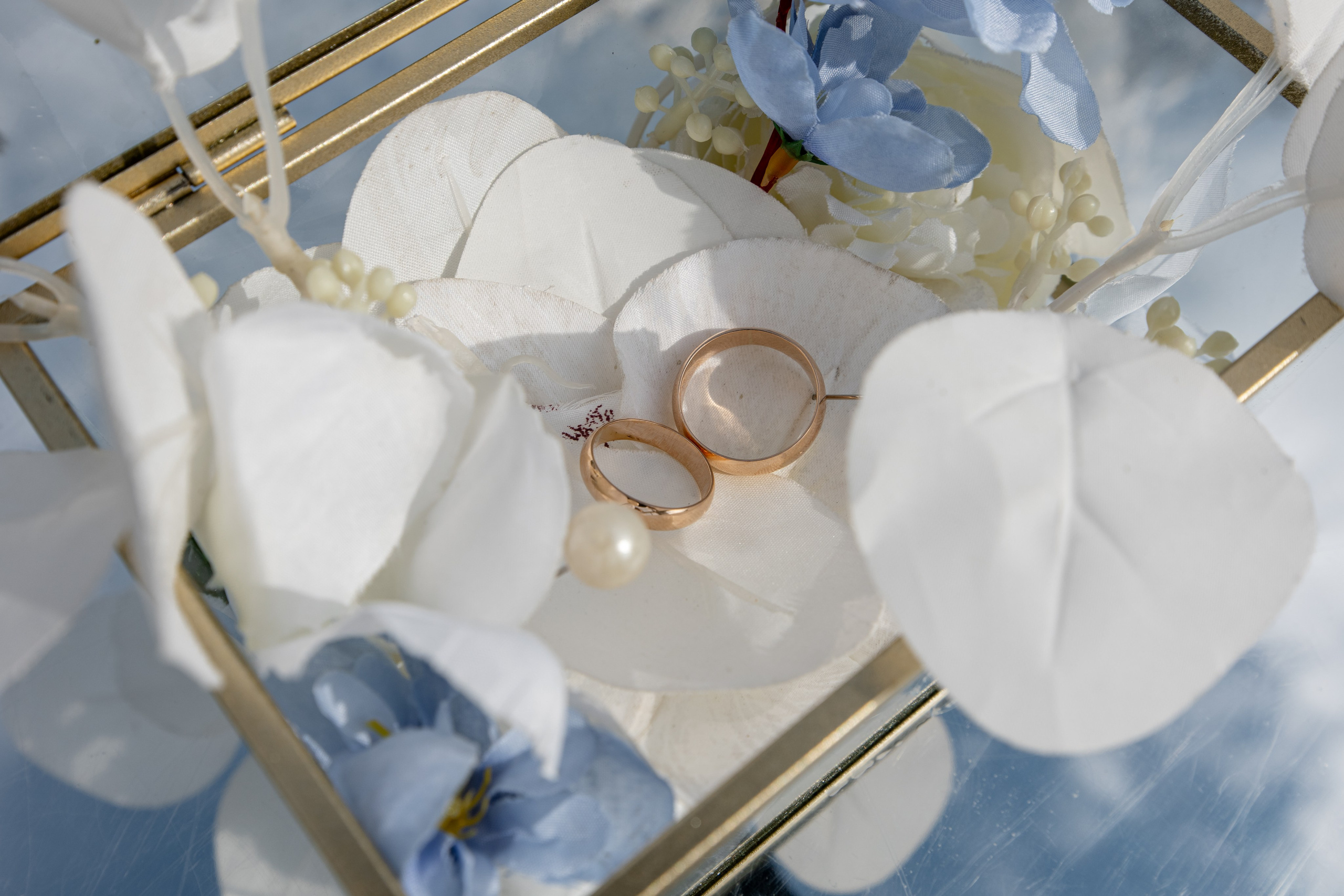 Юлия и Богдан. Владислав Волков | Фотография и видеосъемка в Воронеже