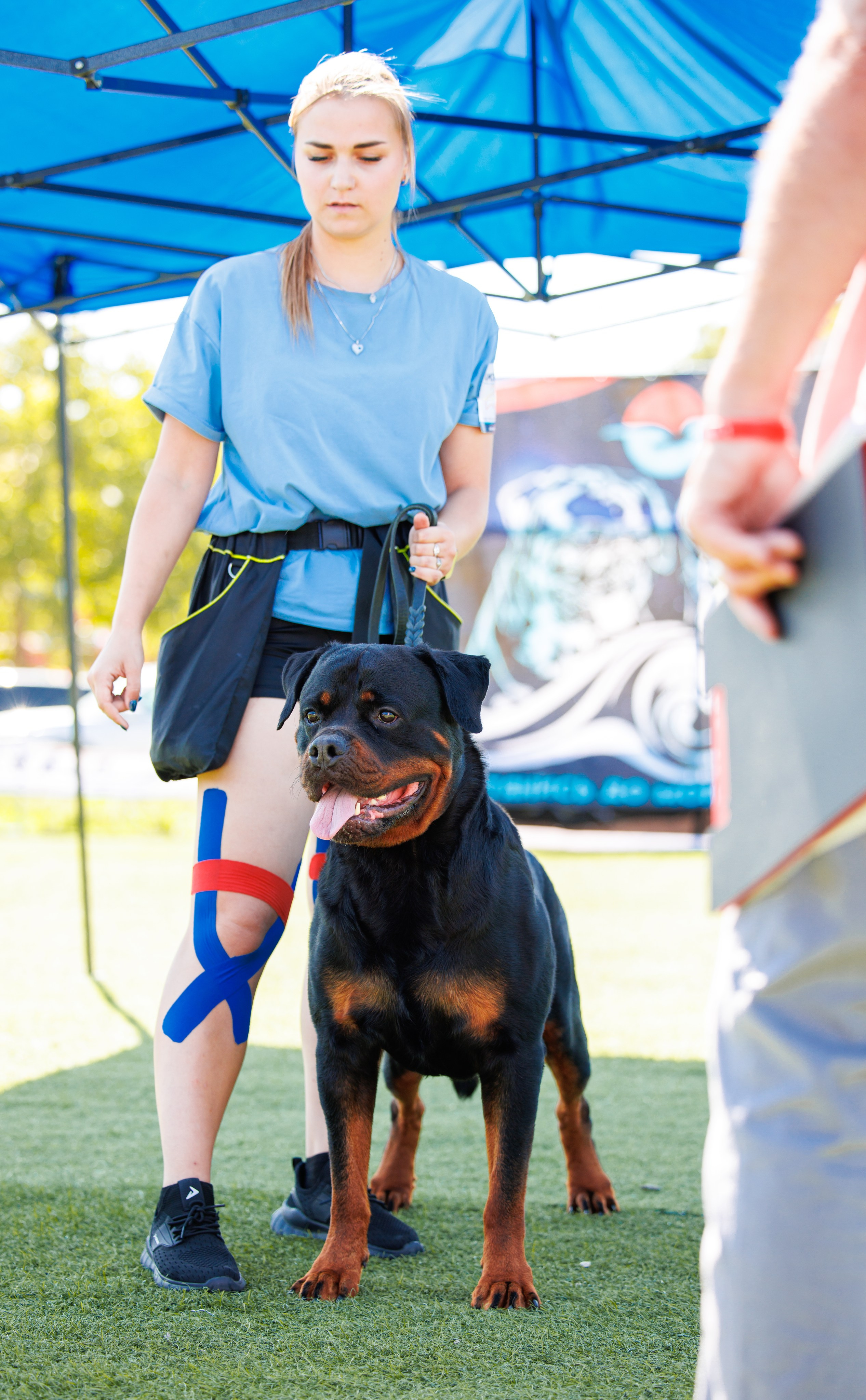 Анапа ротвейлеры 14-15.09.2024. Фотограф-анималист Юлия Германика