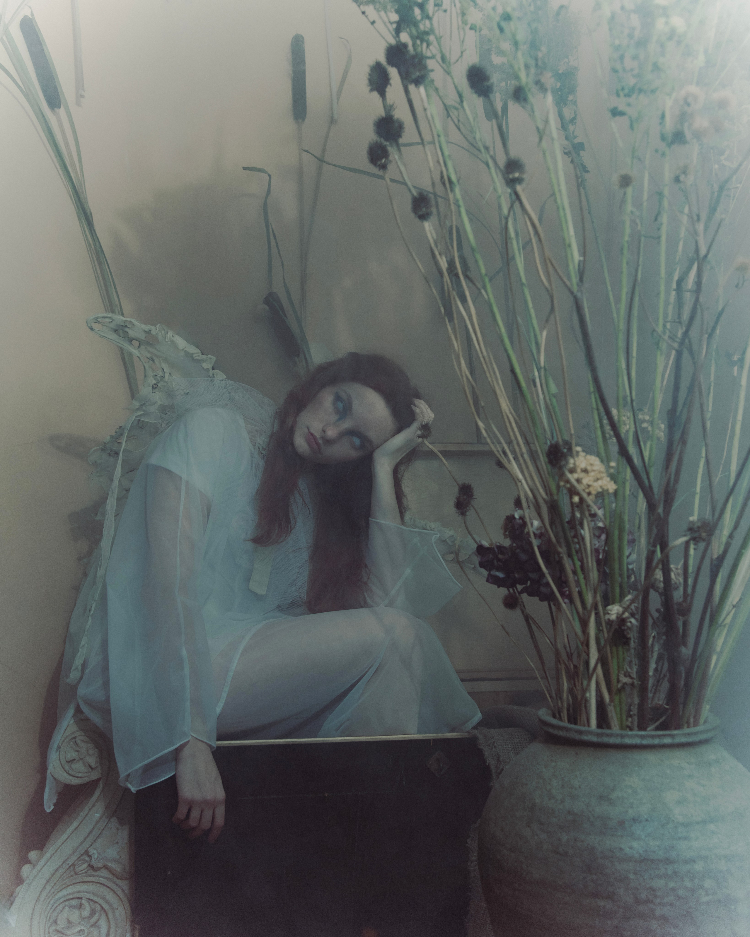 Мотылек. Фотограф Anita Mivchas