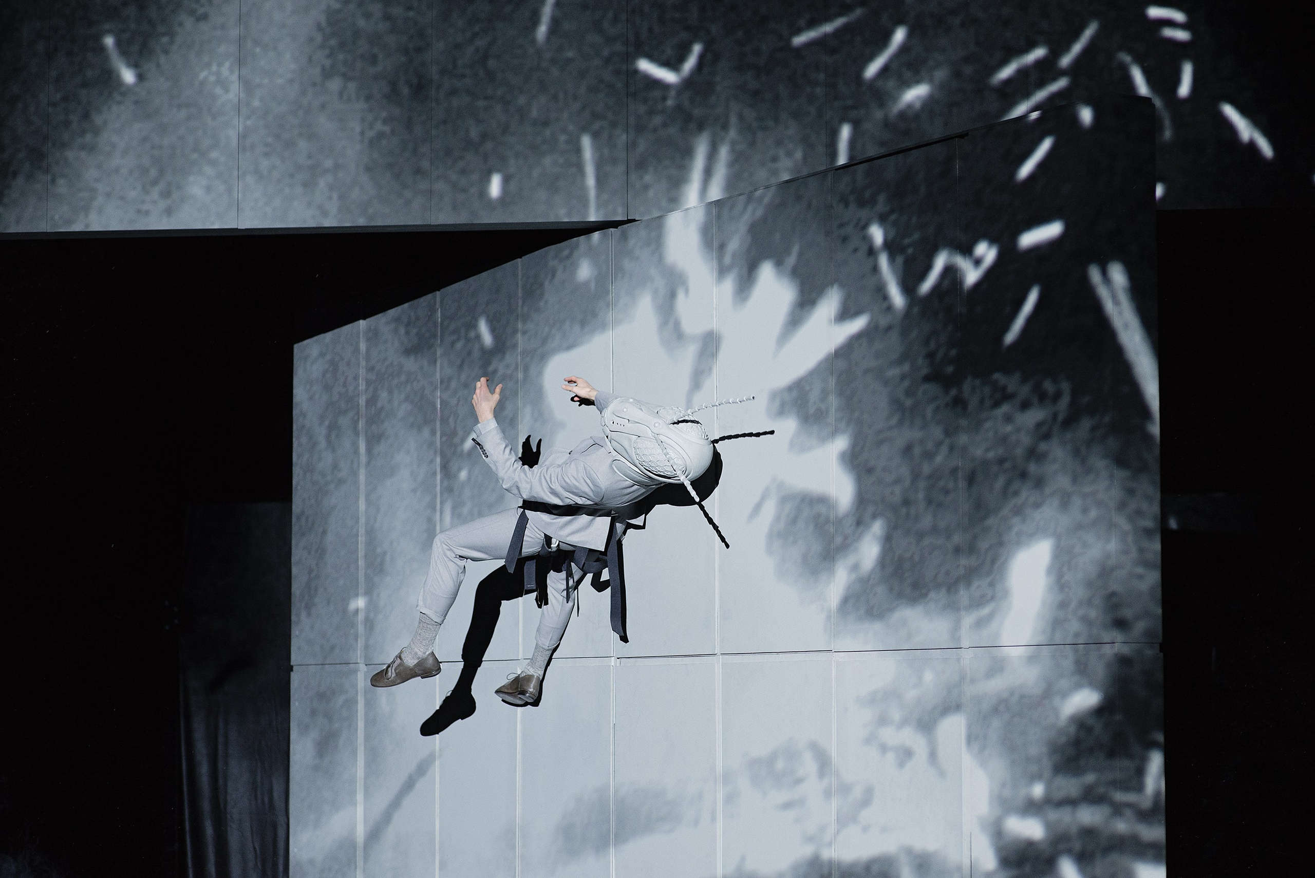 «СВЕРЧОК». Фотограф Александра Дмитриевская