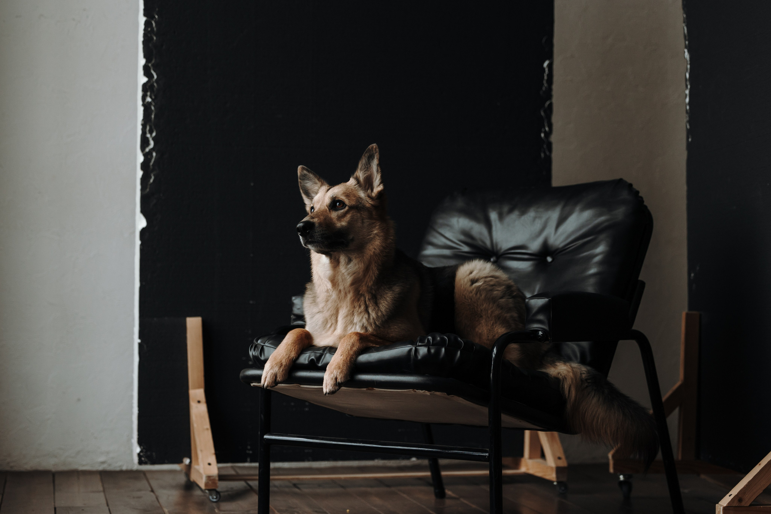 Лена и Дёма. Фотограф — Анималист | Санкт-Петербург