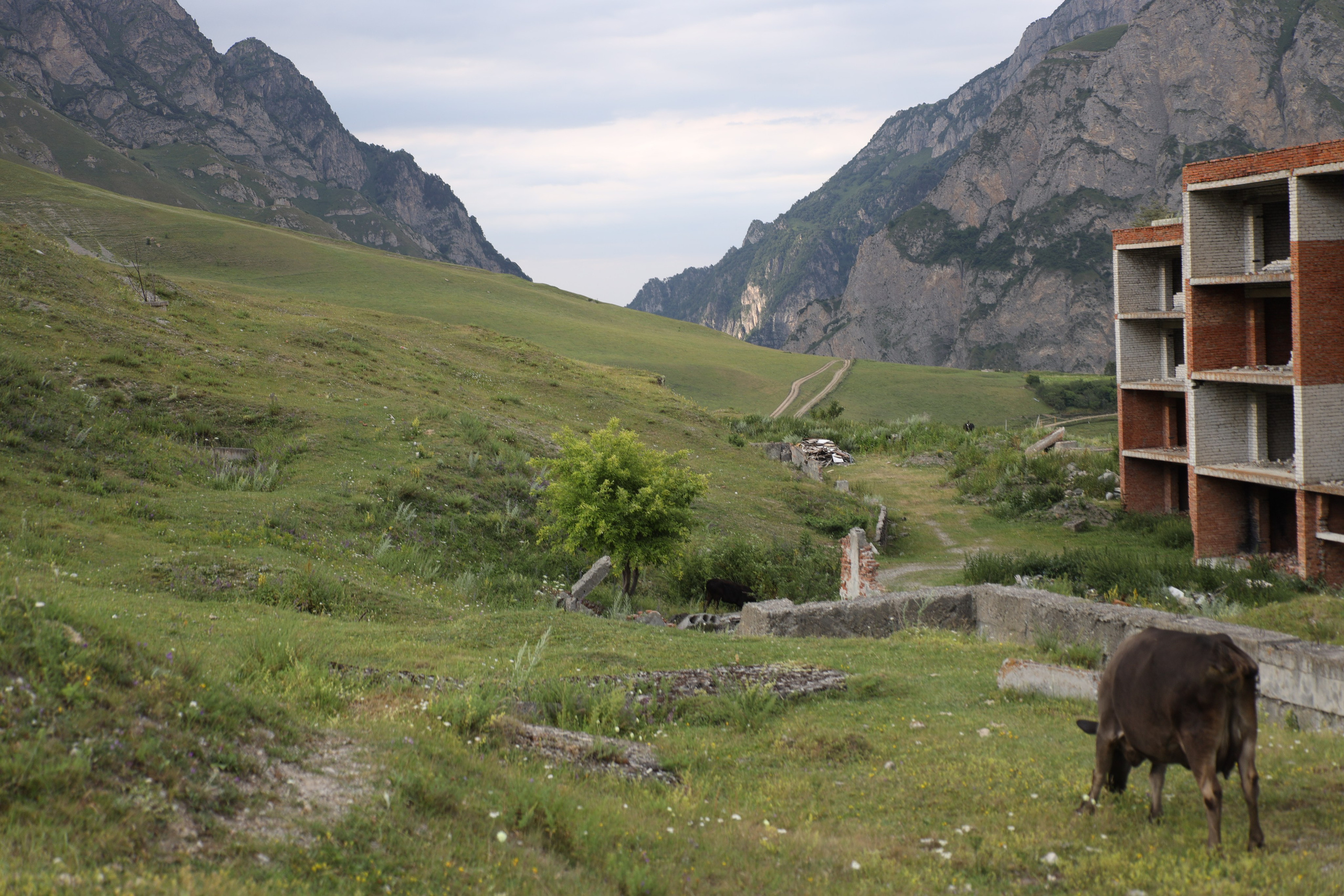 Северная Осетия июль 2025 год. Кармадон, Даргивз и Цей. Семейный детский фотограф Краснодарский край Оксана Колос