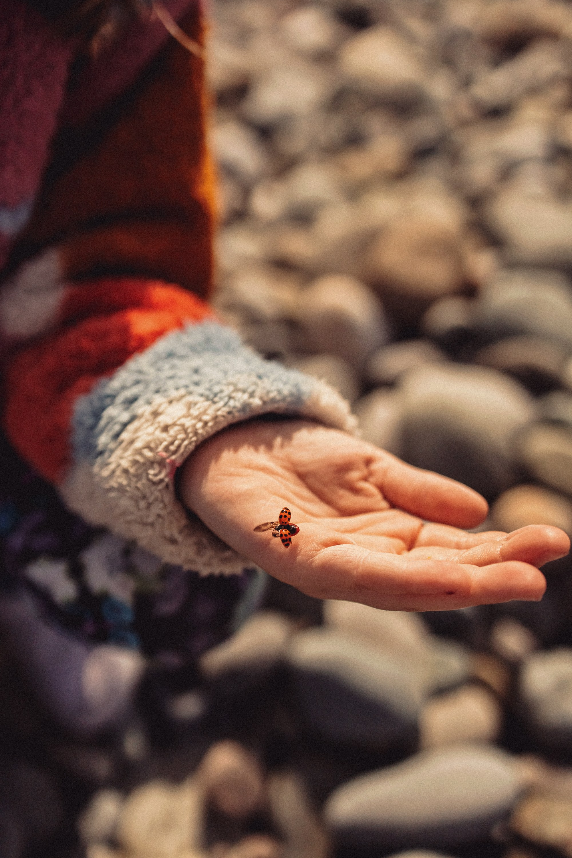 Алёна, Нина и Аврора. Фотограф Наталья Гончарова. Снимаю живые портреты в Алматы