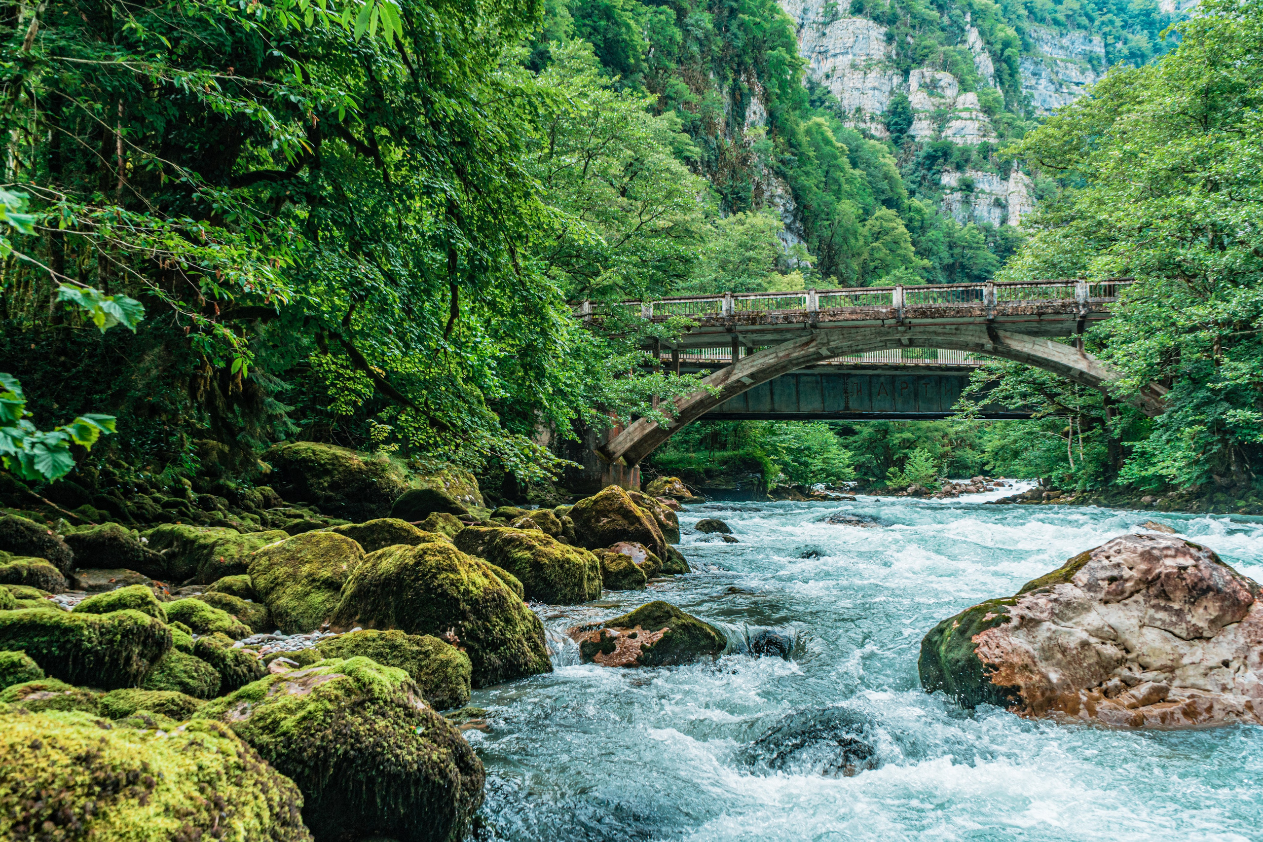 Натура. Владислав Кожух | Фотограф | Видеограф | Режиссёр