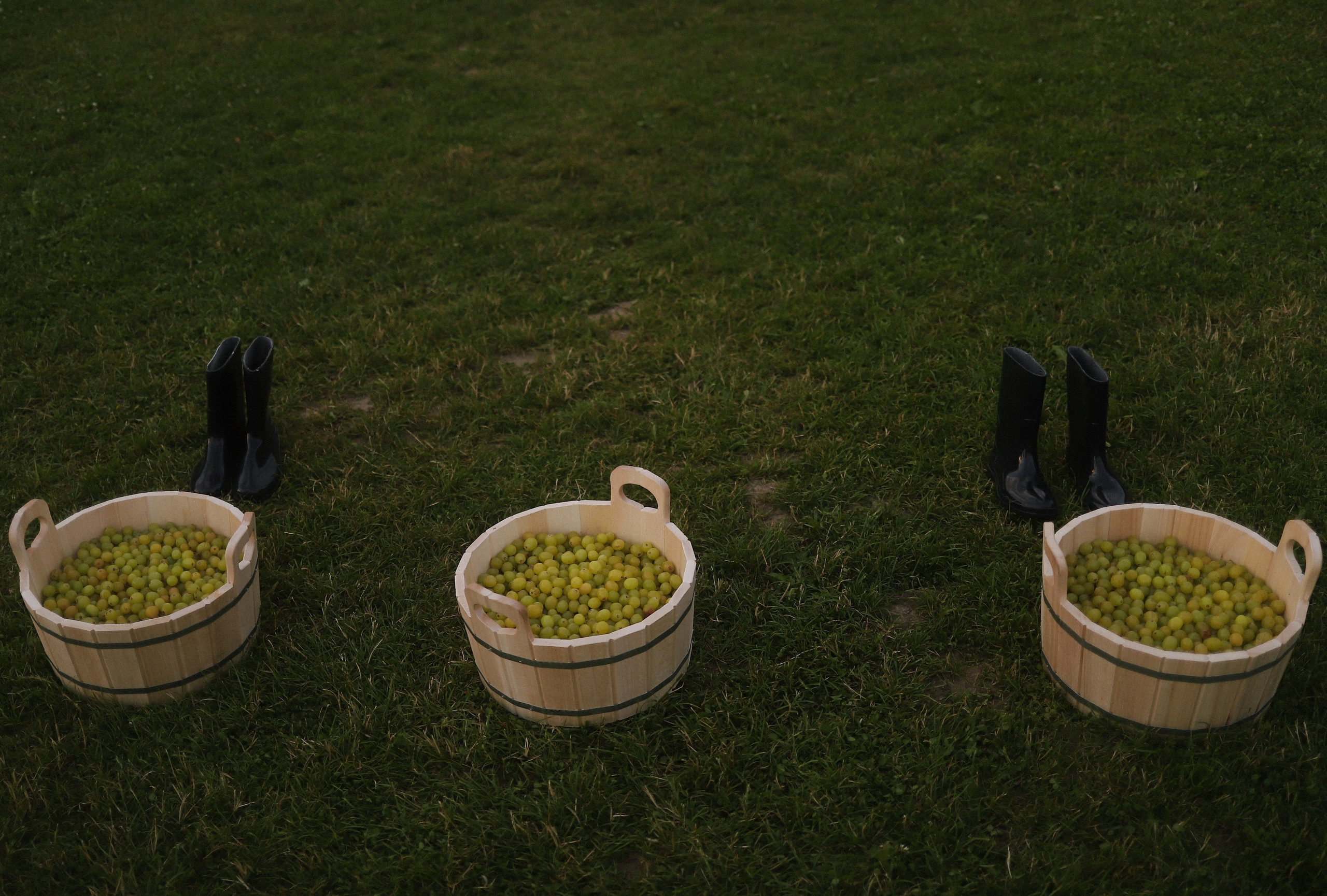 Александра и Павел. Фотограф Москва, Чехов Цыкоза Алина