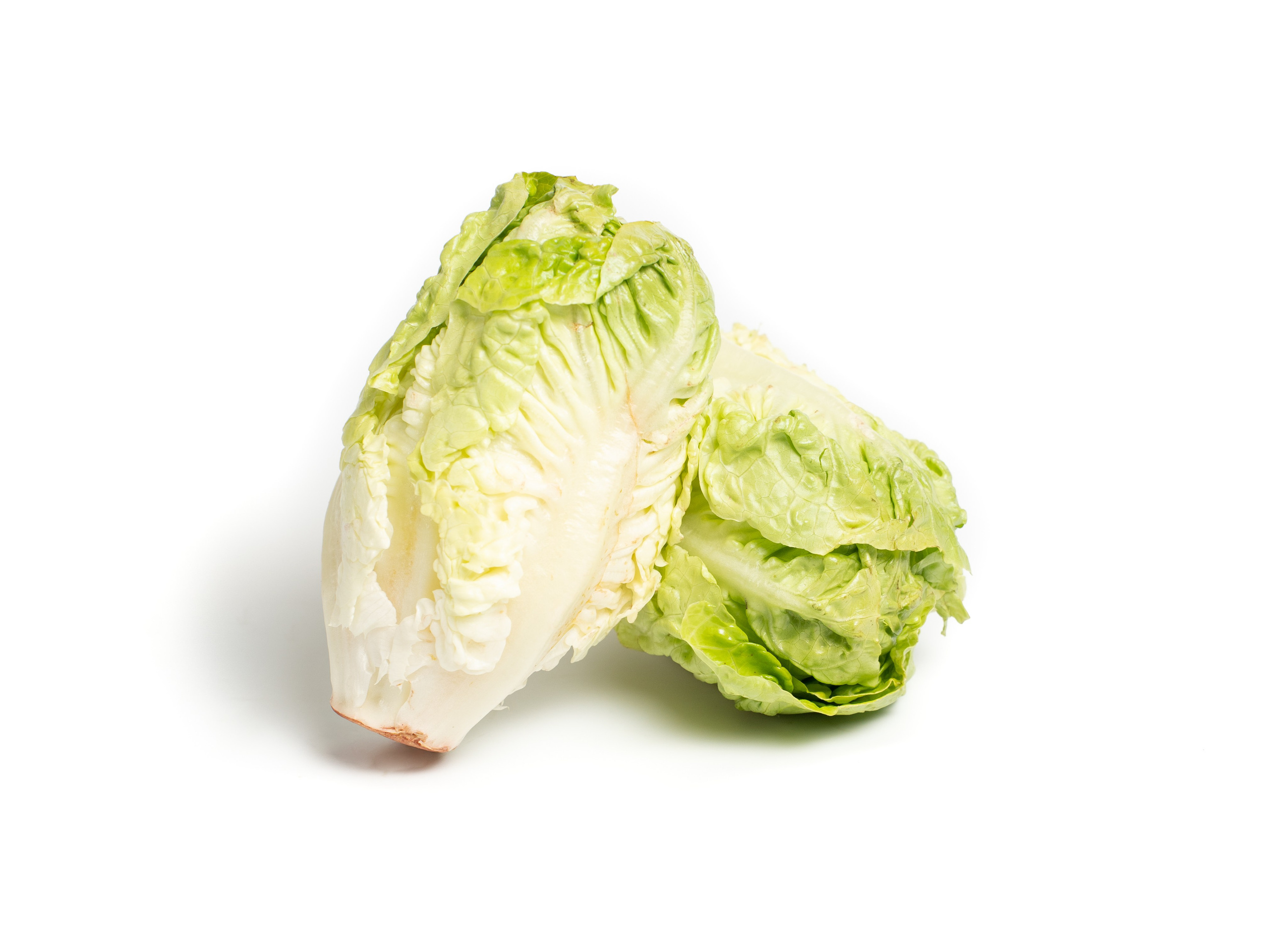 Яндекс Маркет. Предметный и фуд-фотограф в Москве Анна Царенко