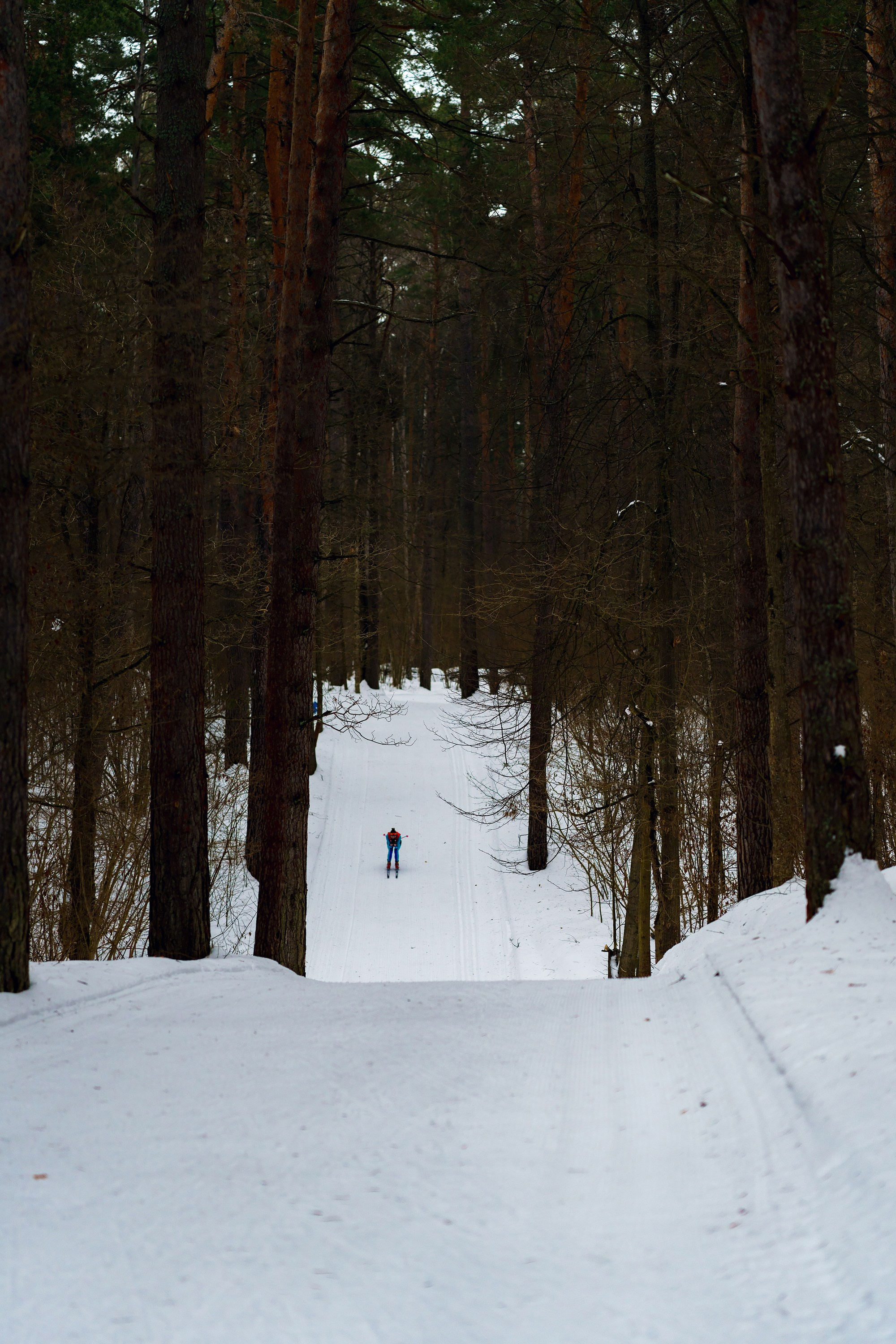 Фотографии Калужский лыжный марафон 2024. Фотограф спортивные события, недвижимость, турбизнес