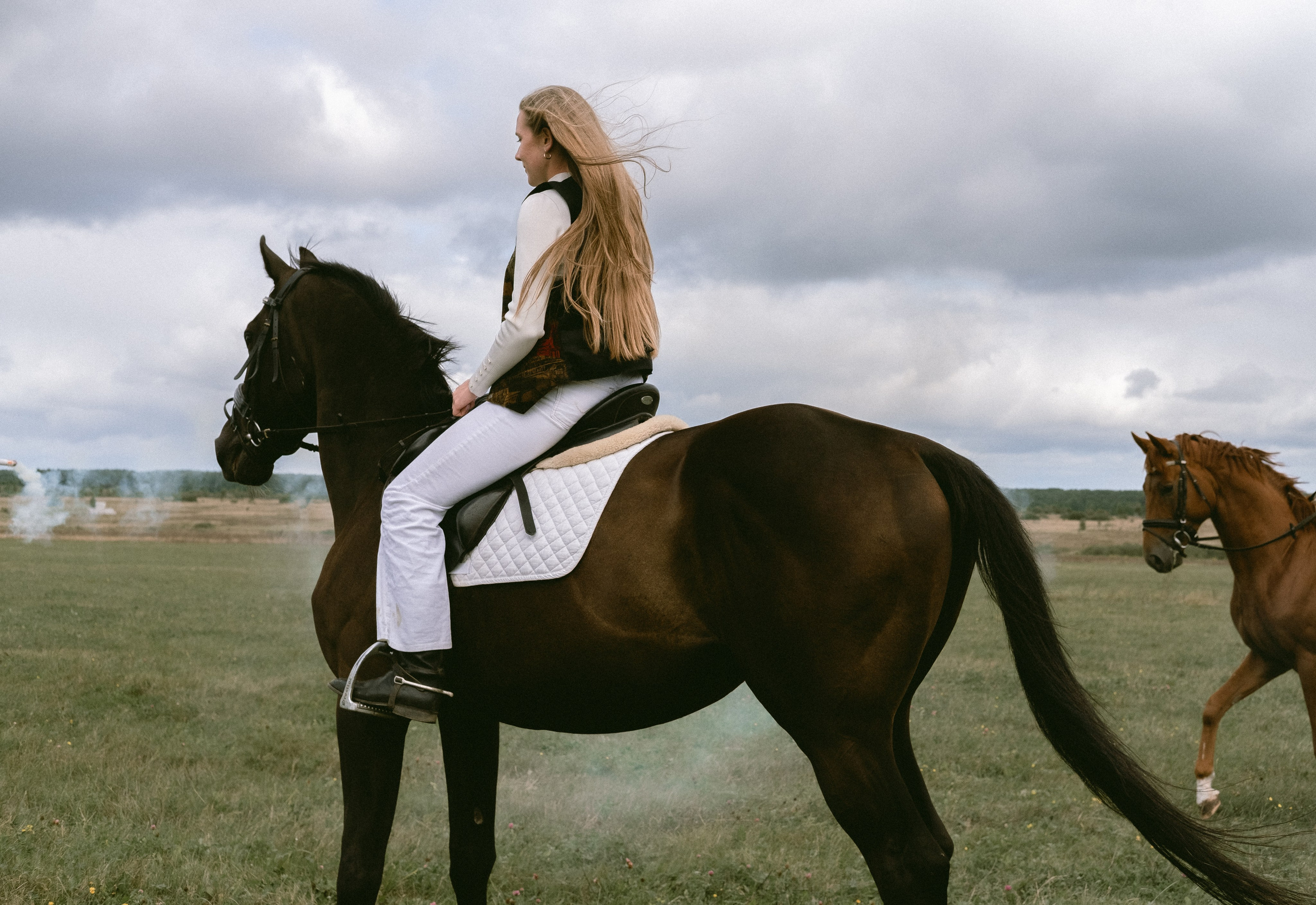 Other. DISEMICHASNOVA