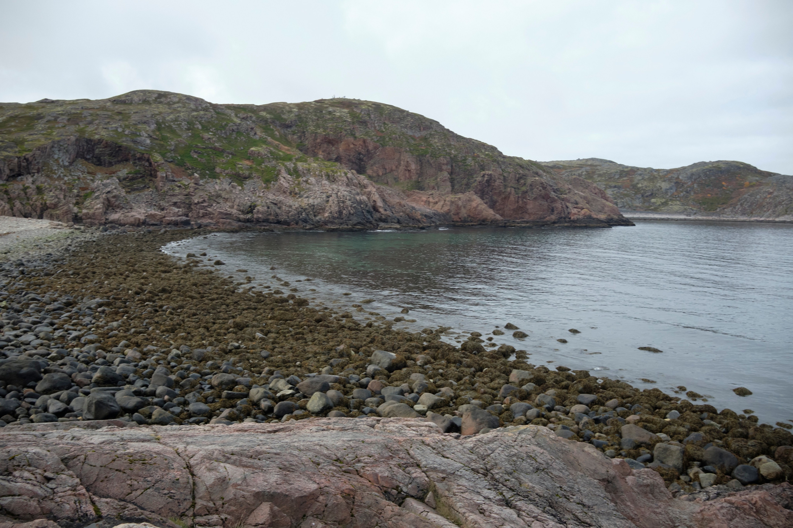 Путешествие в Териберку. Елена Павленко. Фотограф. Москва