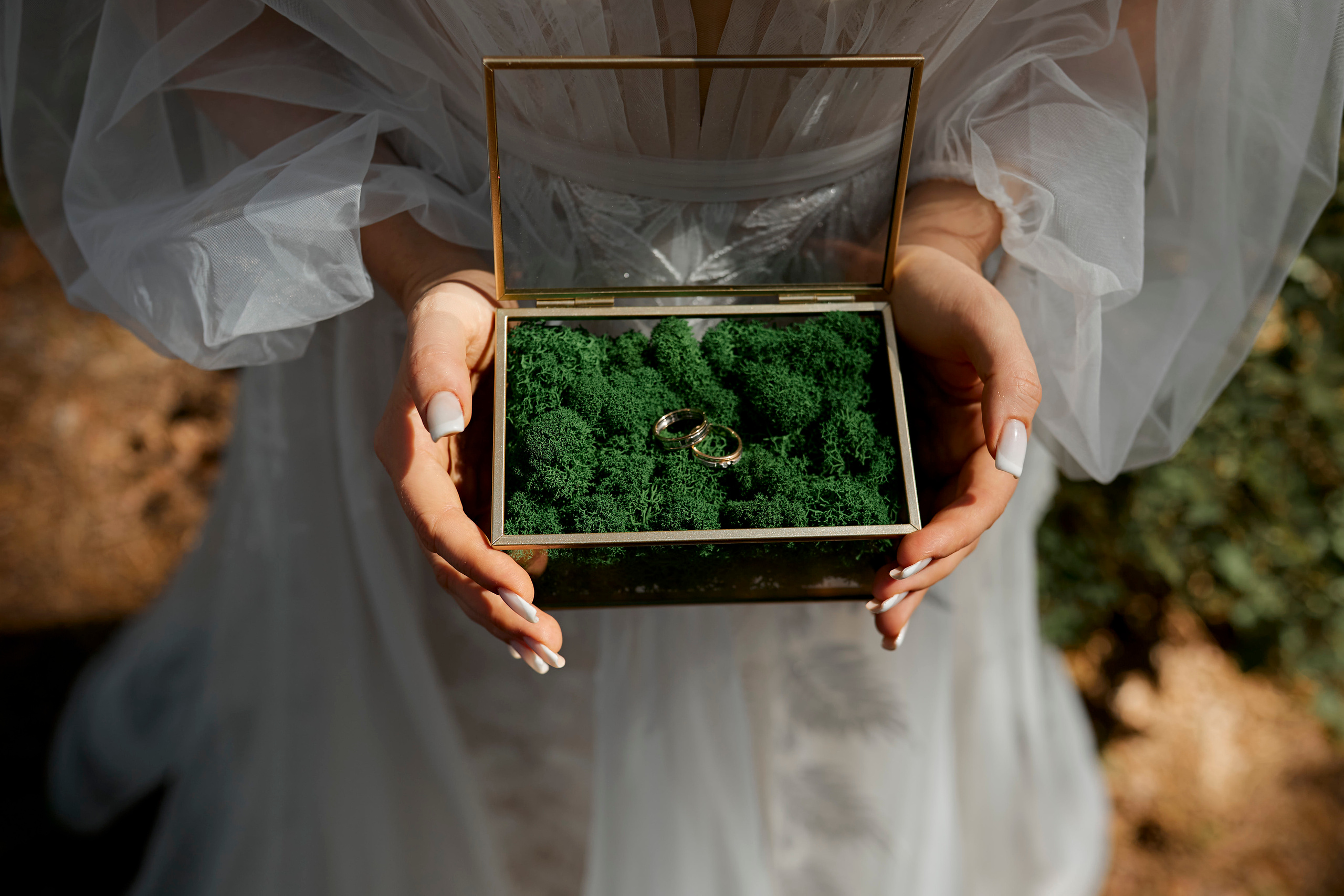 Ника & Вадим. Фотограф