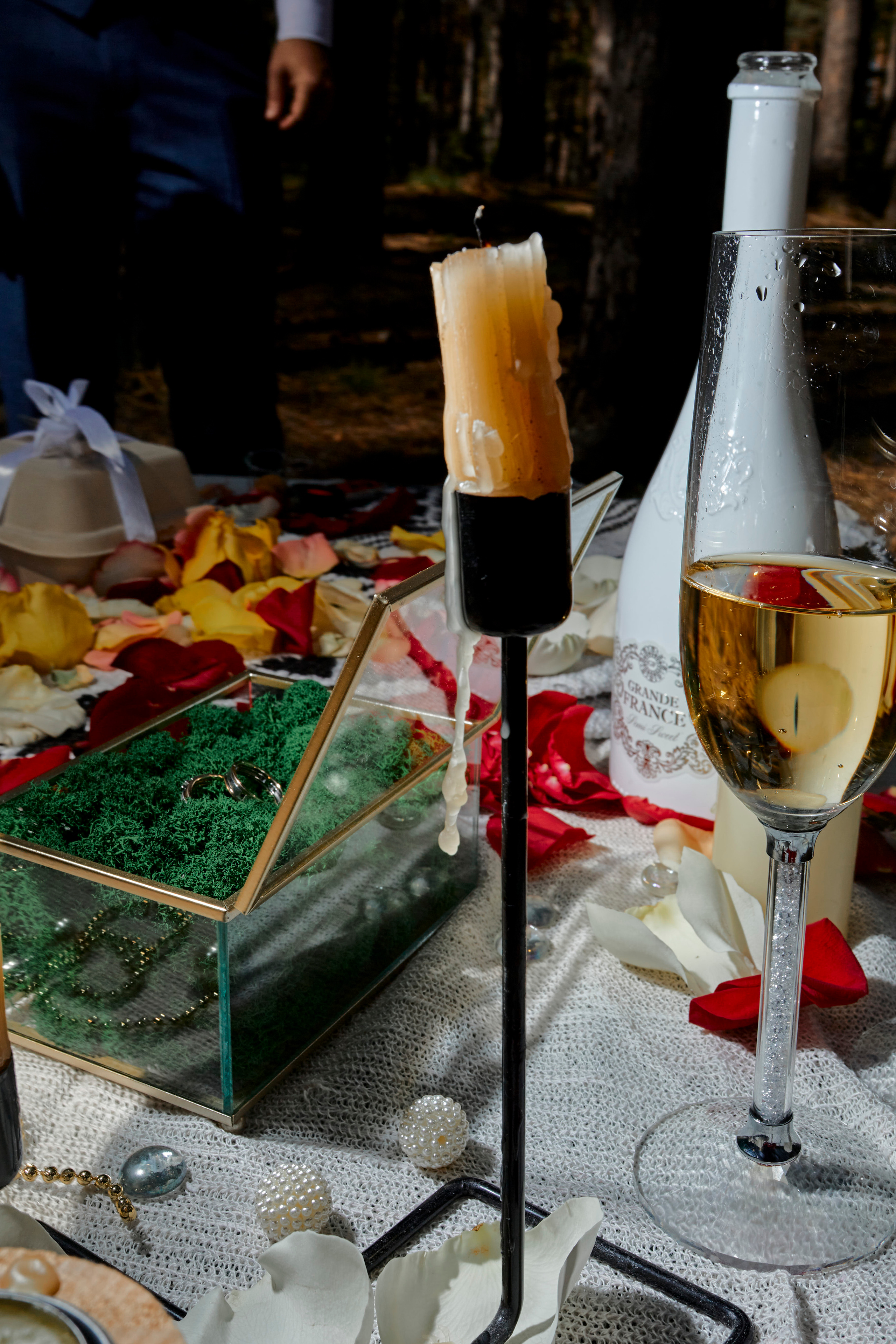 Ника & Вадим. Фотограф