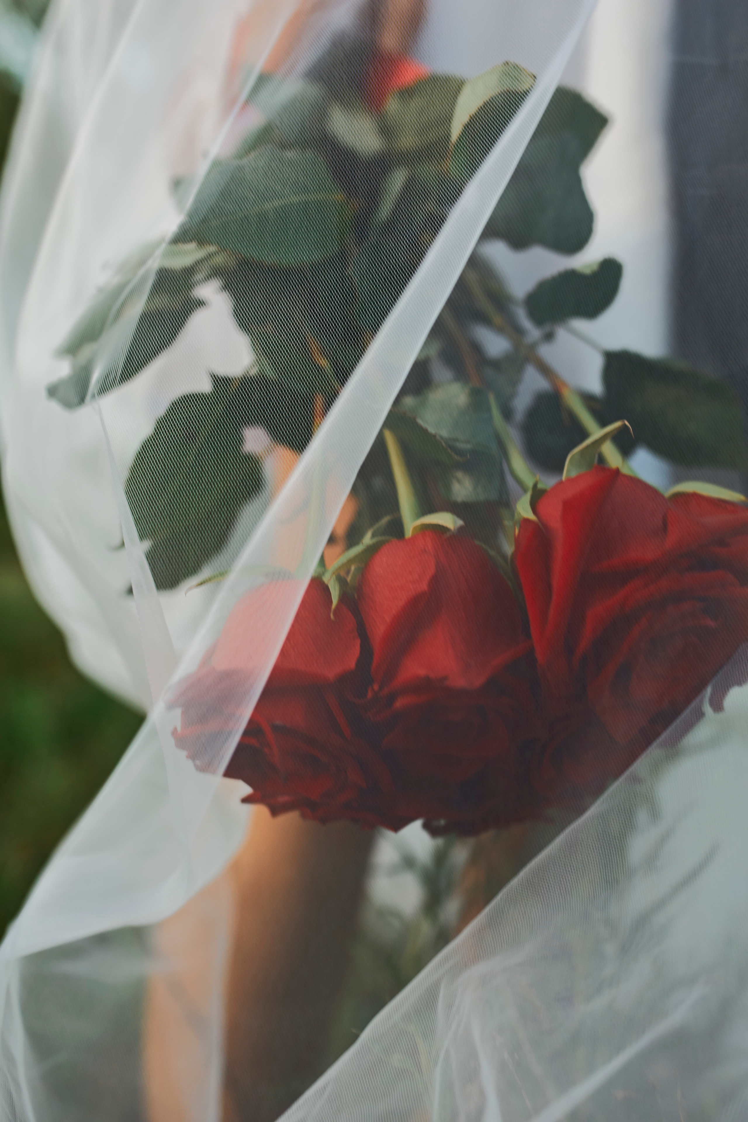 Вера & Иван. Фотограф