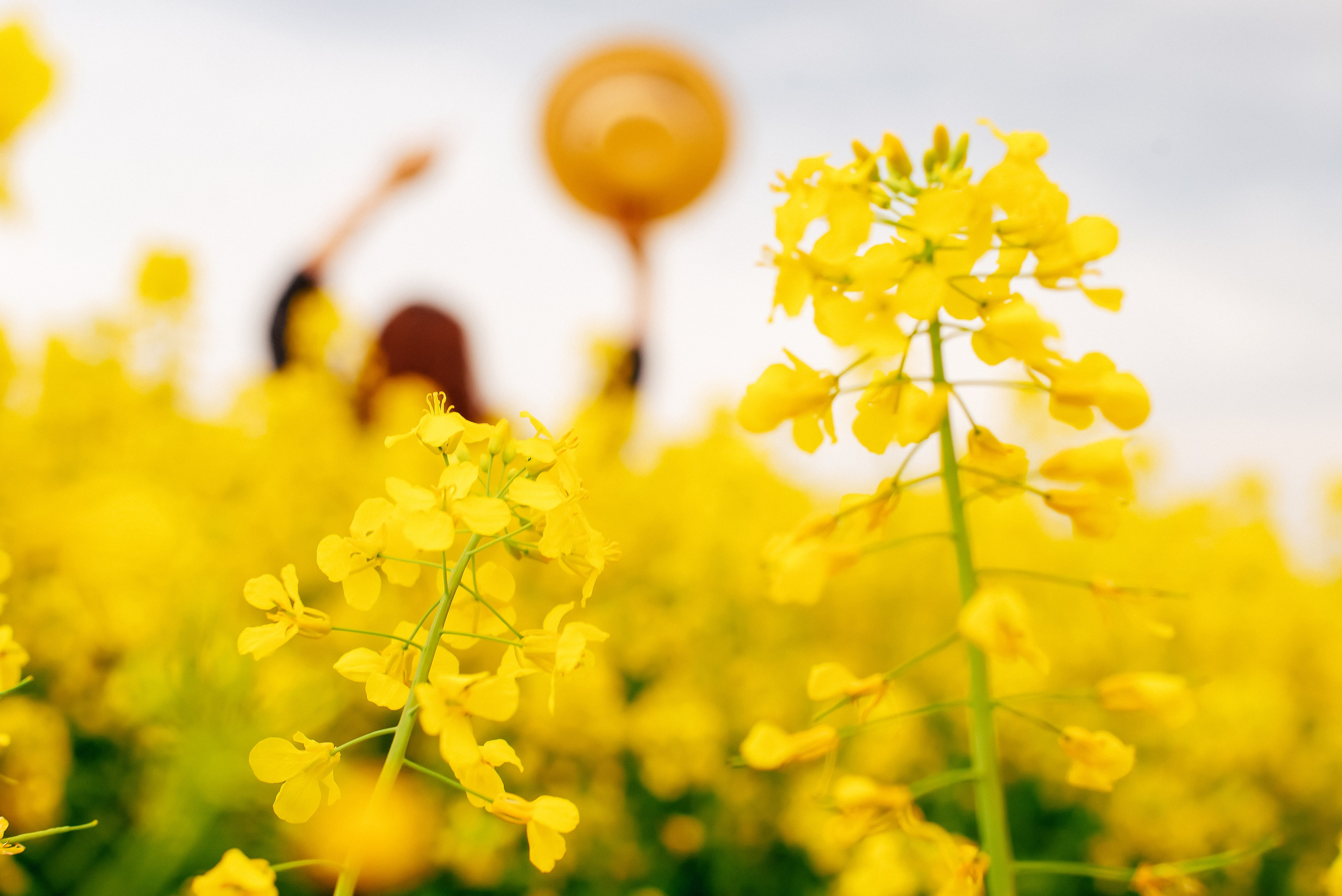 Portraits. Семейный и детский фотограф в Анапе