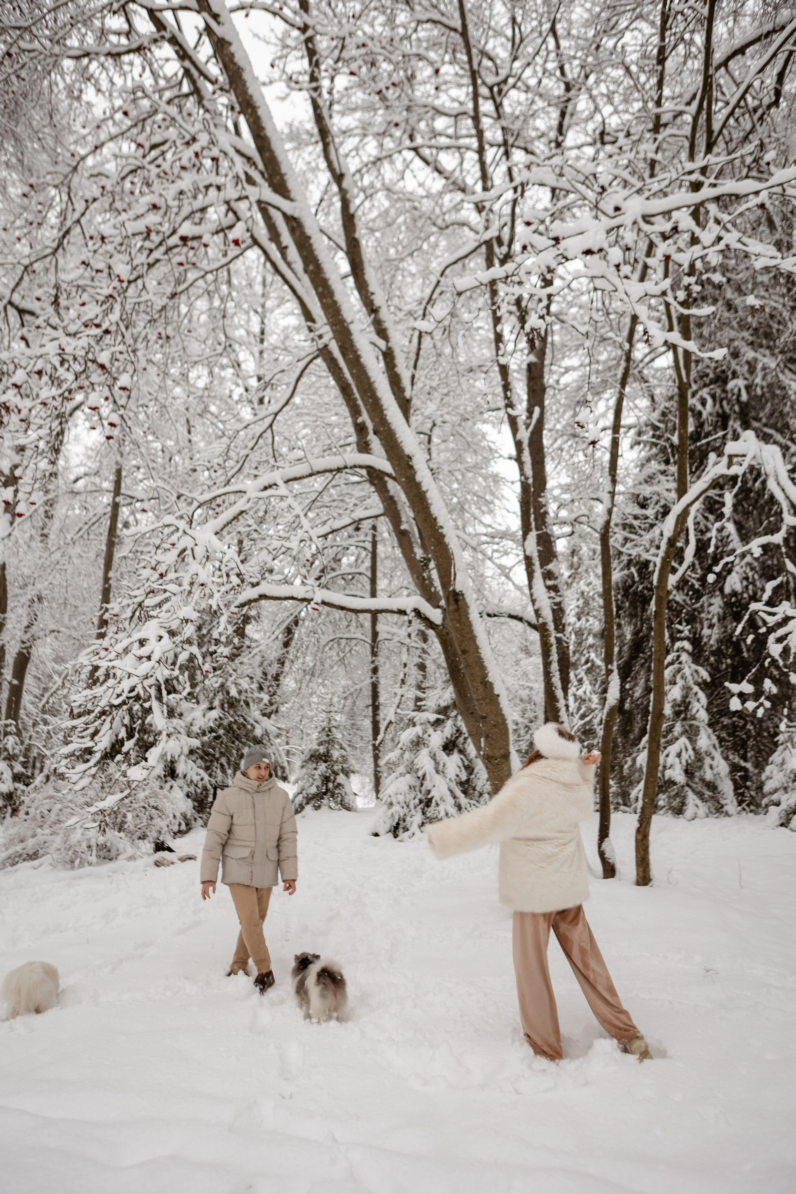 Новогодняя фотосессия с собачками в шуваловском парке. Свадебный фотограф в СПБ | Санкт-Петербурге Анастасия Рахимгулова