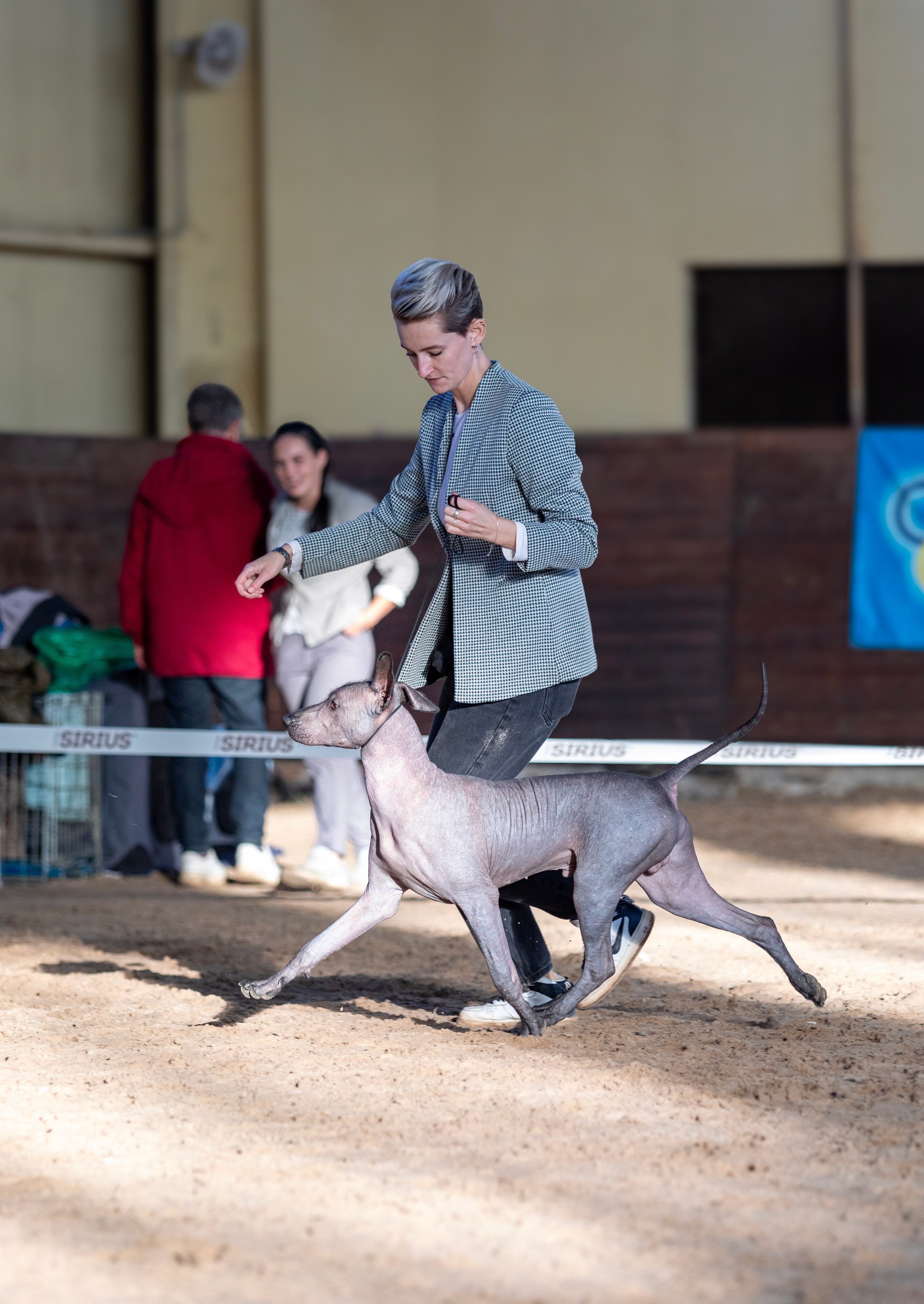 Выставки. Фотограф — анималист Татьяна Ли
