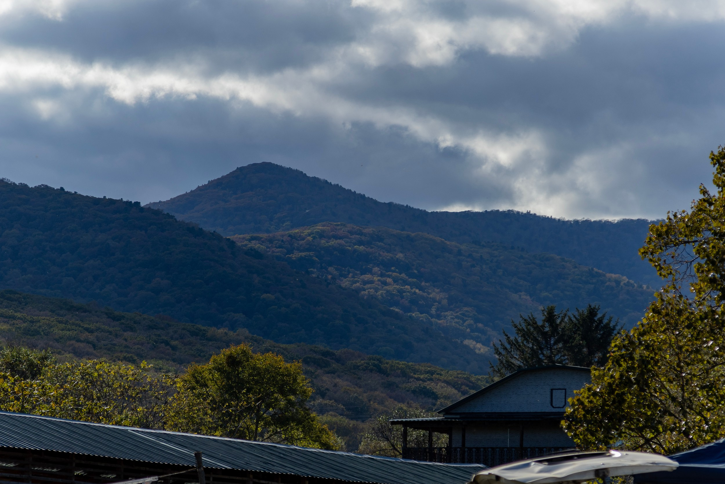 Фестиваль «Большой пикник», репортаж для ASAP Speedcubing. Репортажный и портретный фотограф в Владивостоке