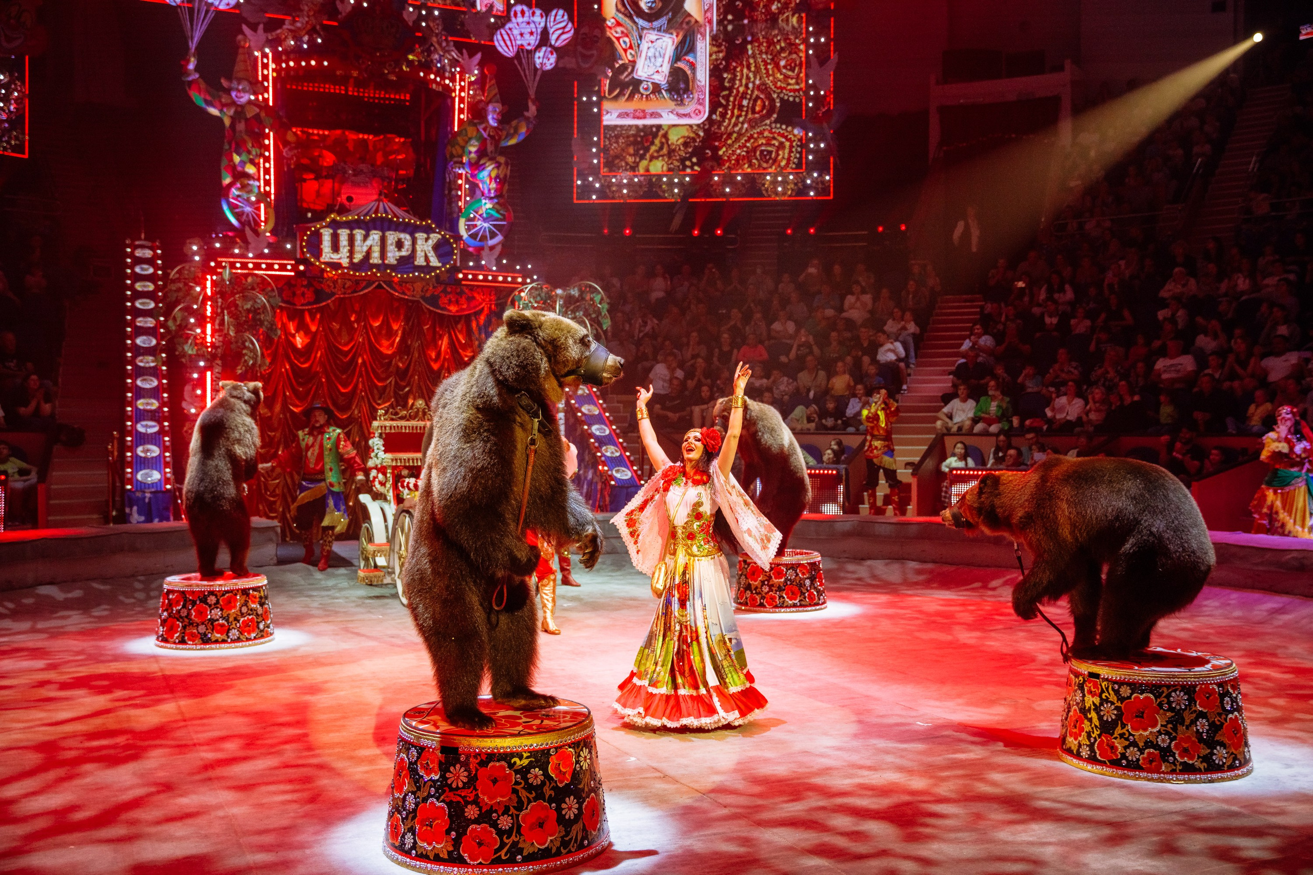 Сочинский росгорцирк Шоу Гии Эрадзе цирк. Профессиональный фотограф в Сочи Виктория Джой. Обучение