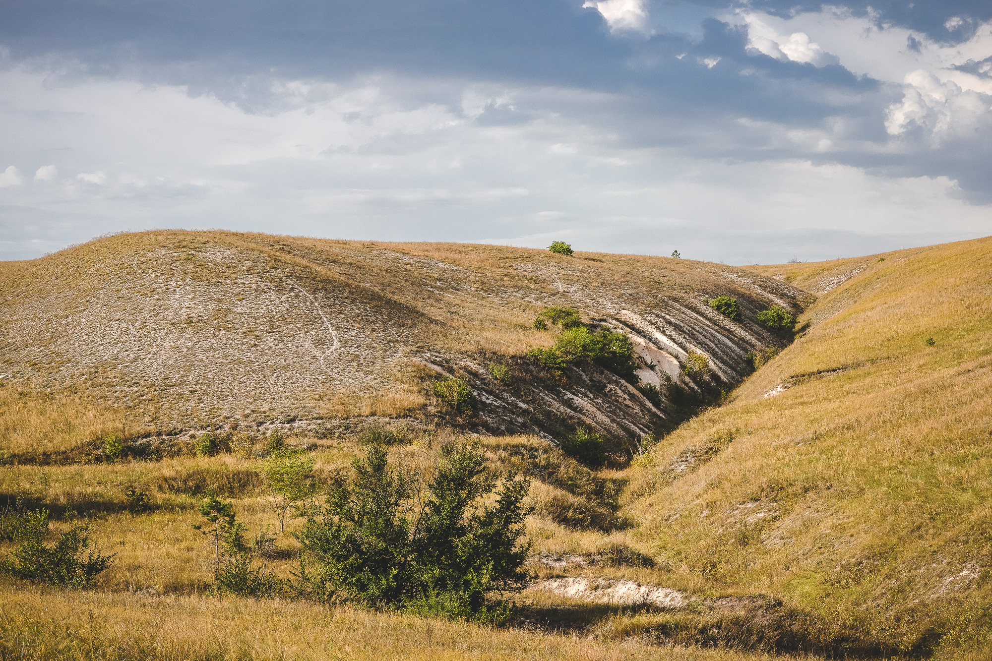 Каньон меловых гор Дивногорья