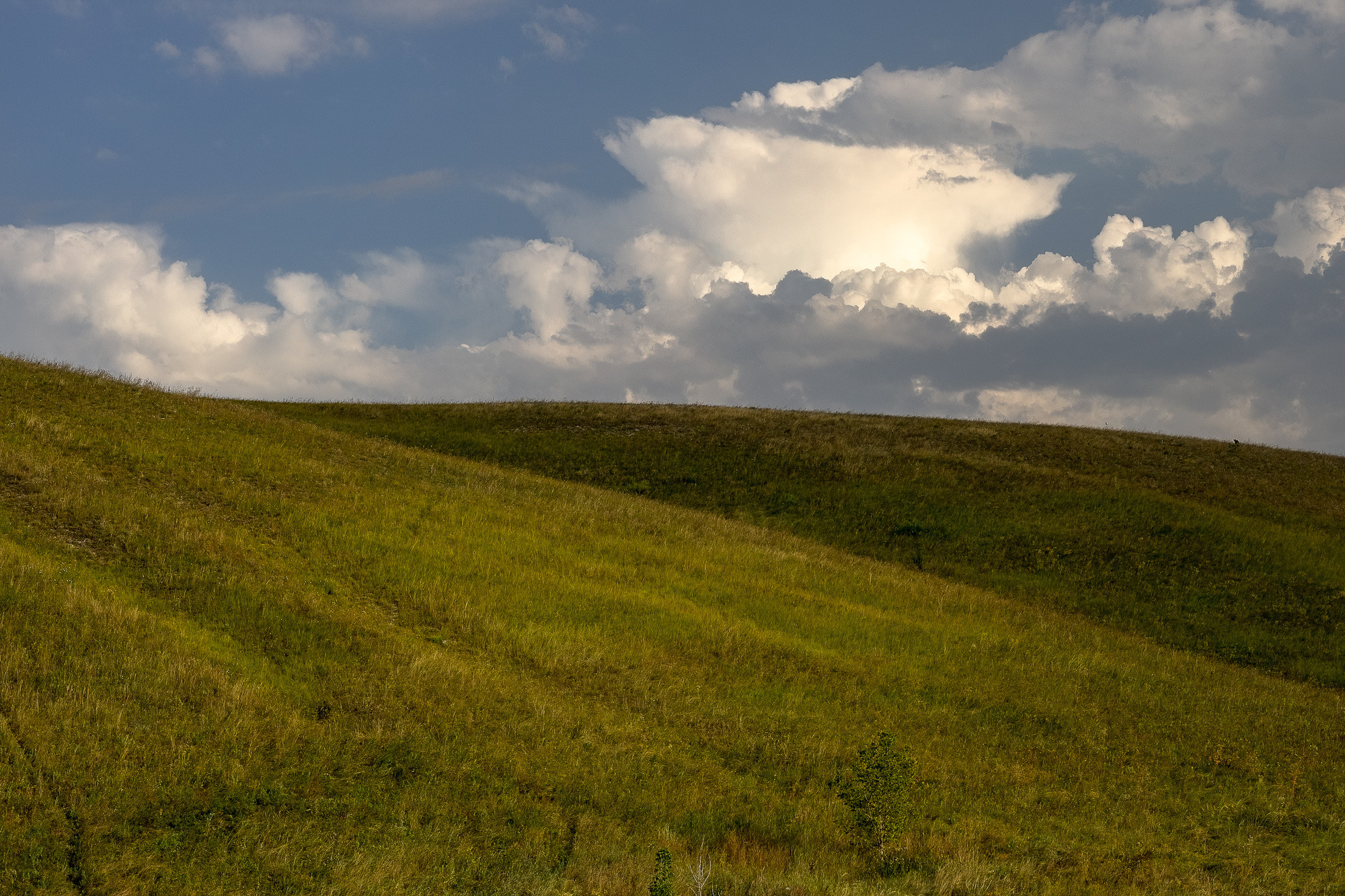 Плато Дивногорье