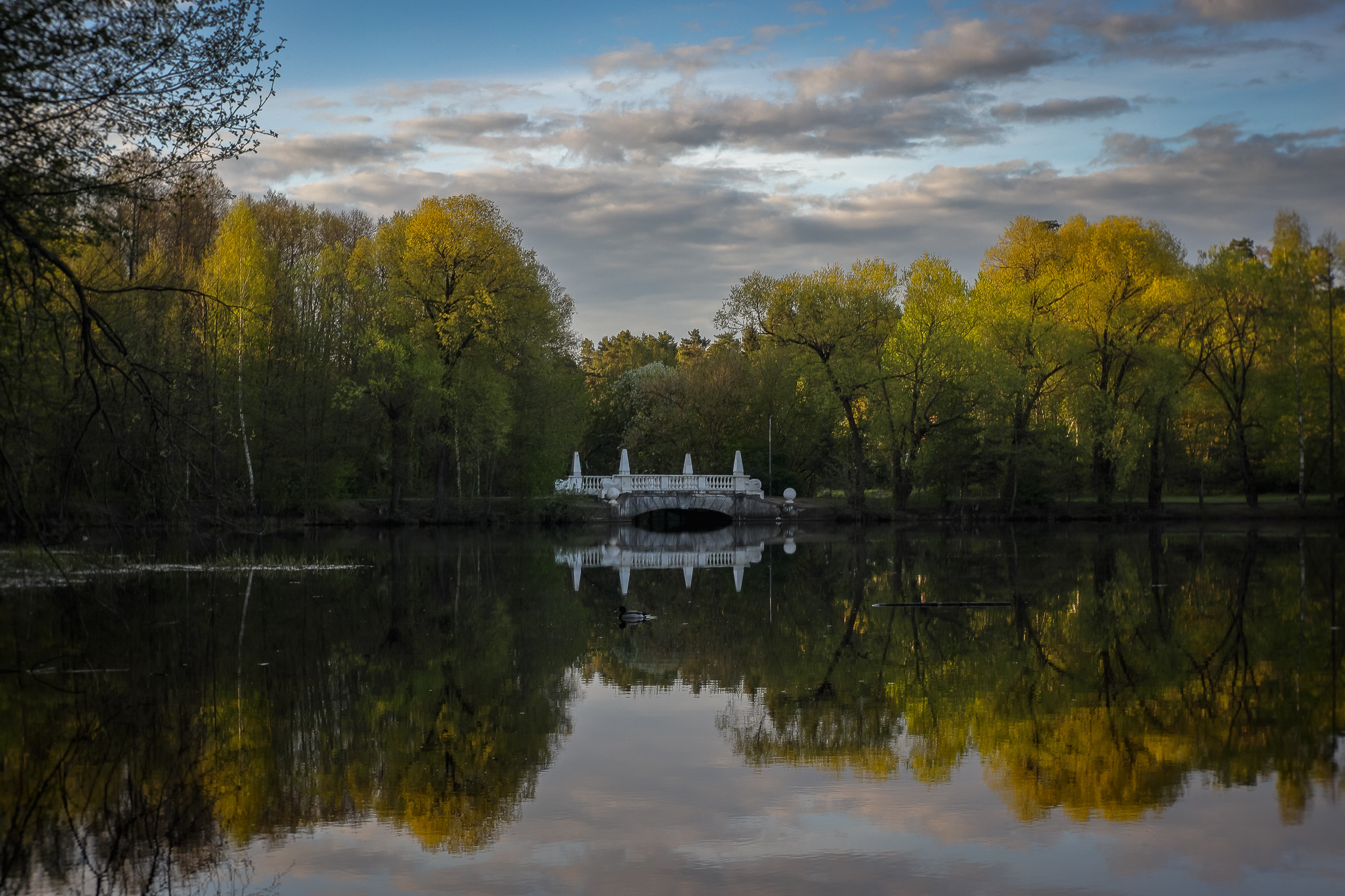 Мраморный мост на озере Кратово весной