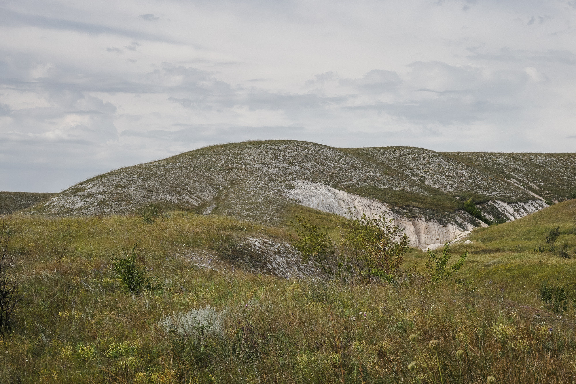 Меловые горы на плато в Дивногорье