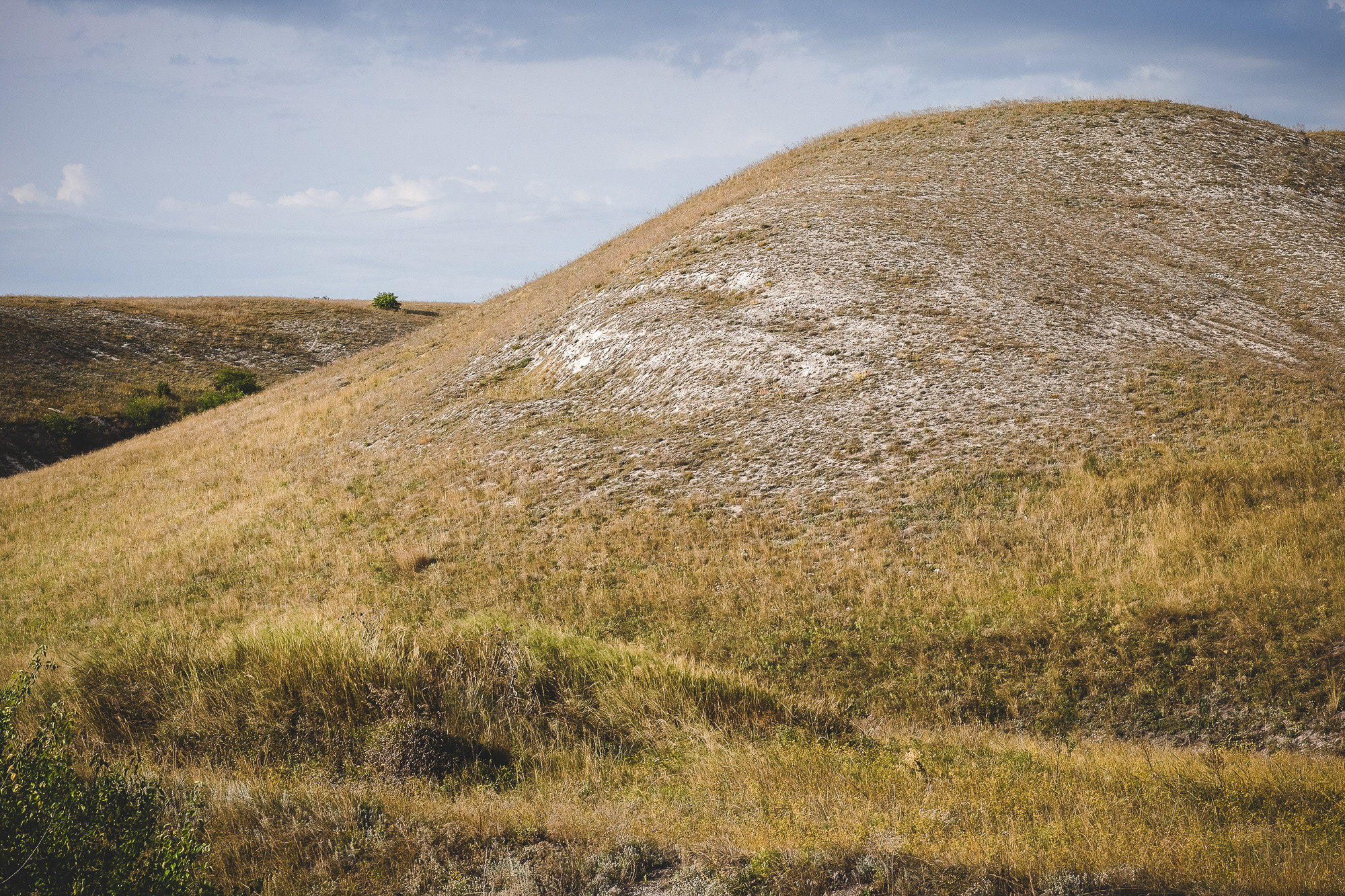 Меловая гора в Дивногорье летом