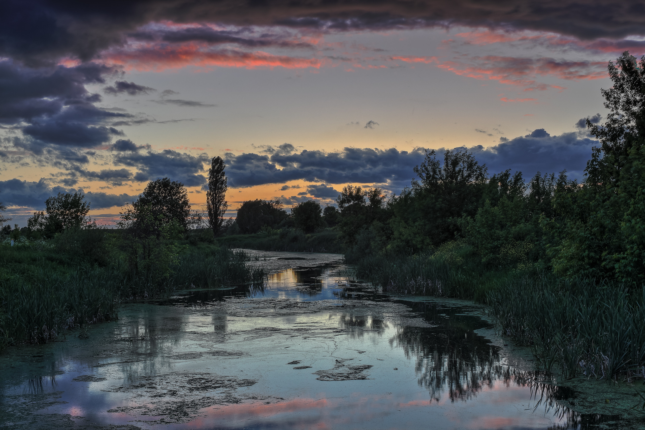 Отражение красивого вечернего неба в речке на закате