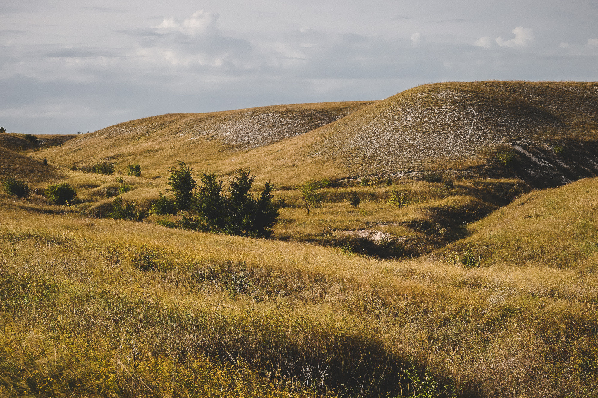 Плато Дивногорье вид на меловые горы