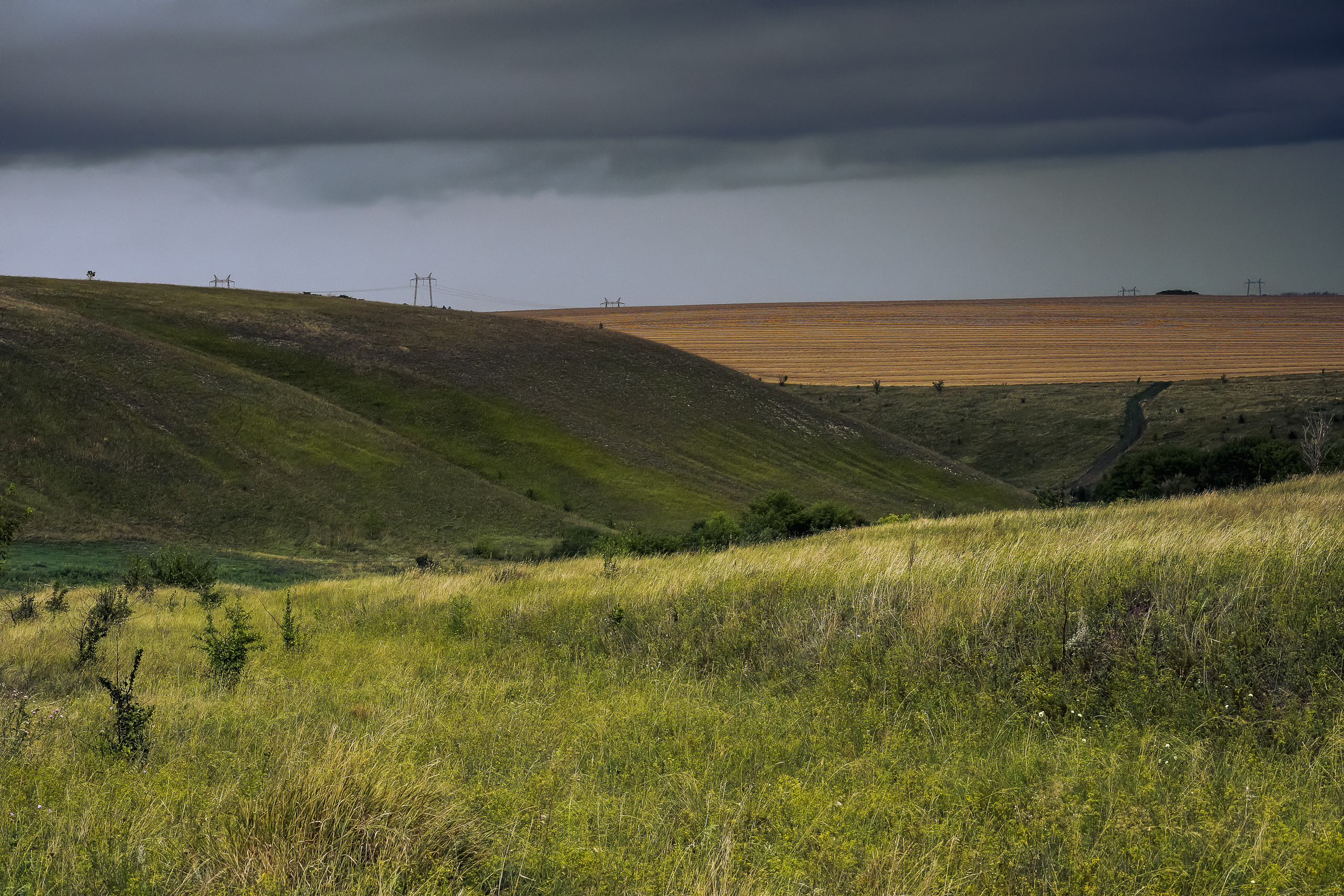 Плато в Дивногорье перед летним дождем