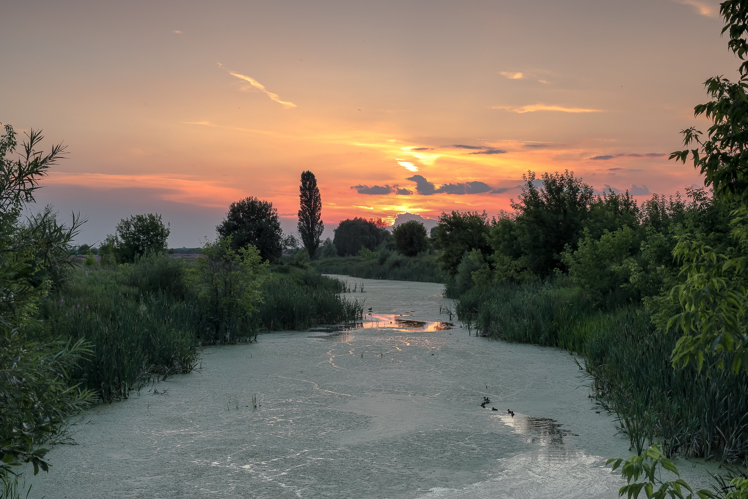 Тихий летний закат на реке Быковка