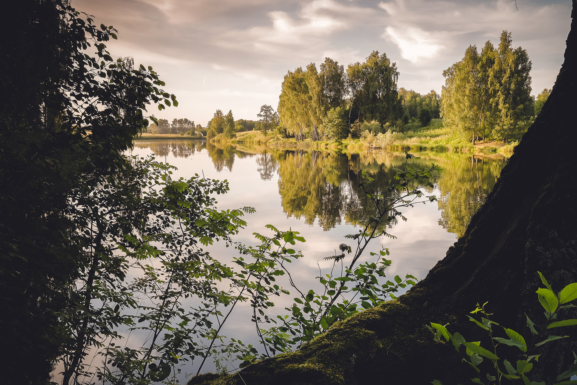 Лирический вид на отражения деревьев в реке