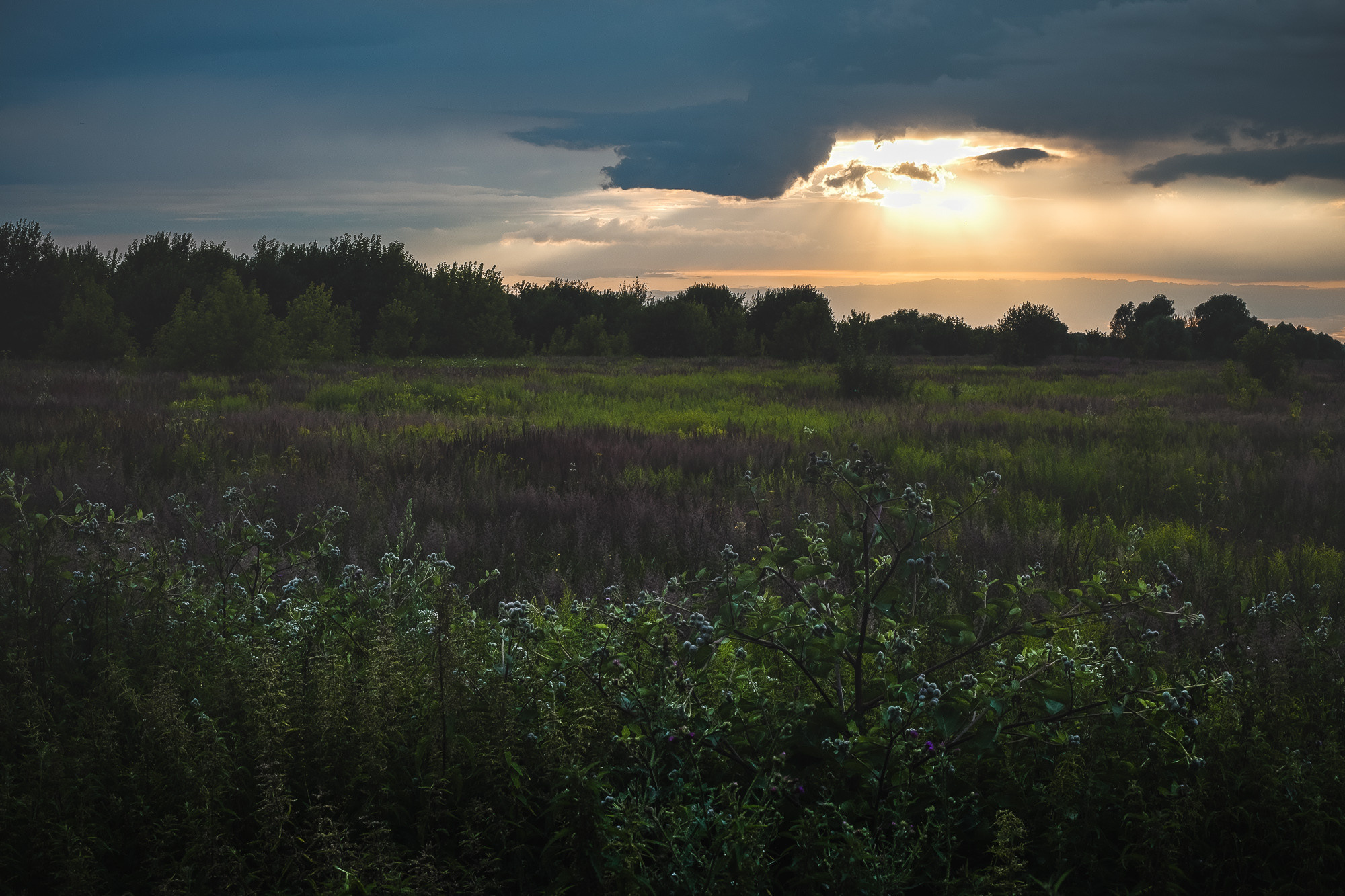 Летний закат перед грозой в Подмосковье