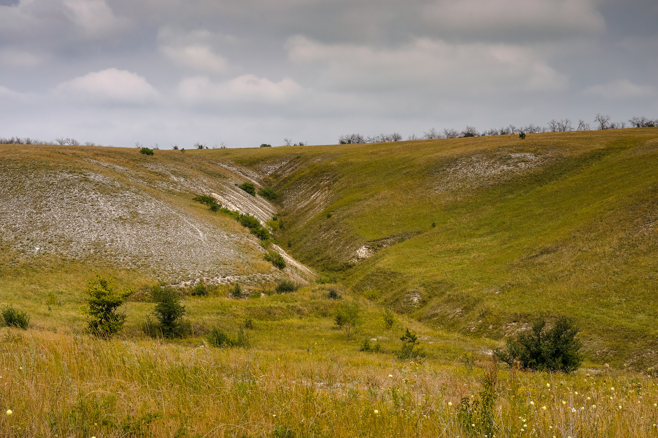 Каньон в меловых горах Дивногорья летнее путешествие по России