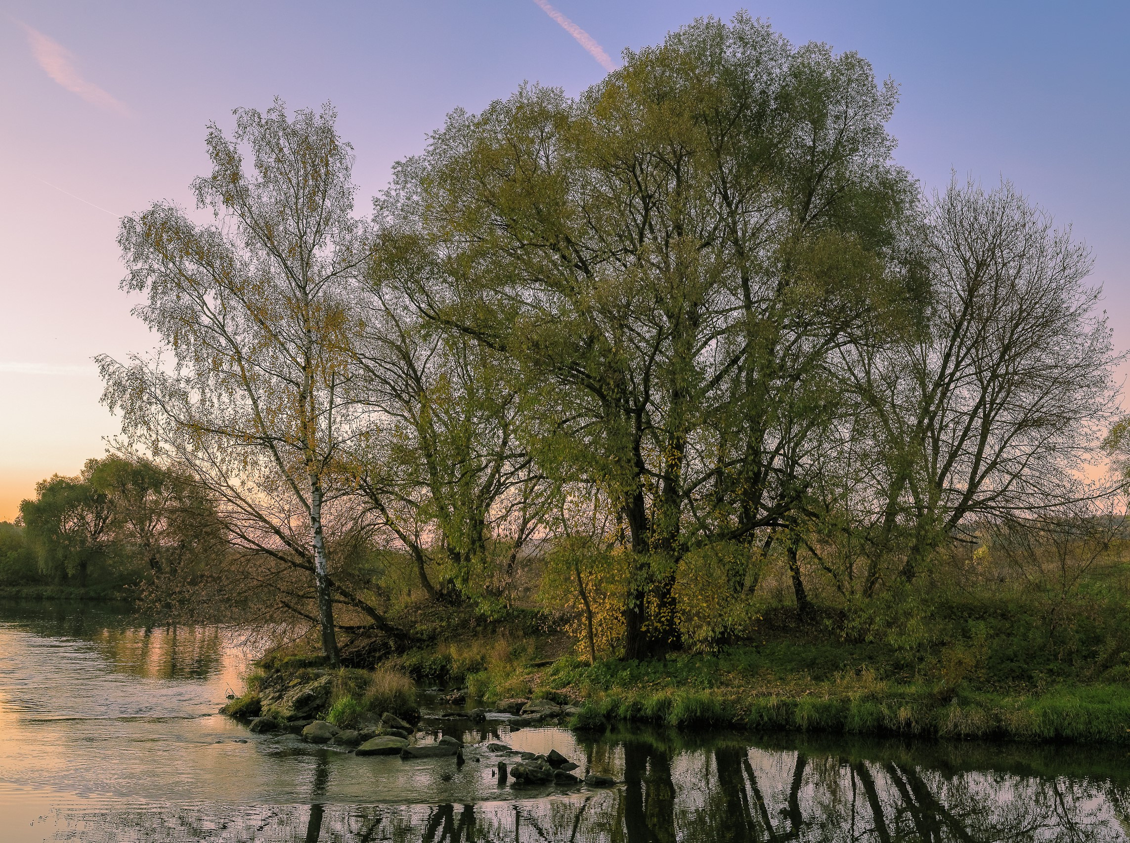 Отражения деревьев в реке Пахра осенью район Зеленовского омута
