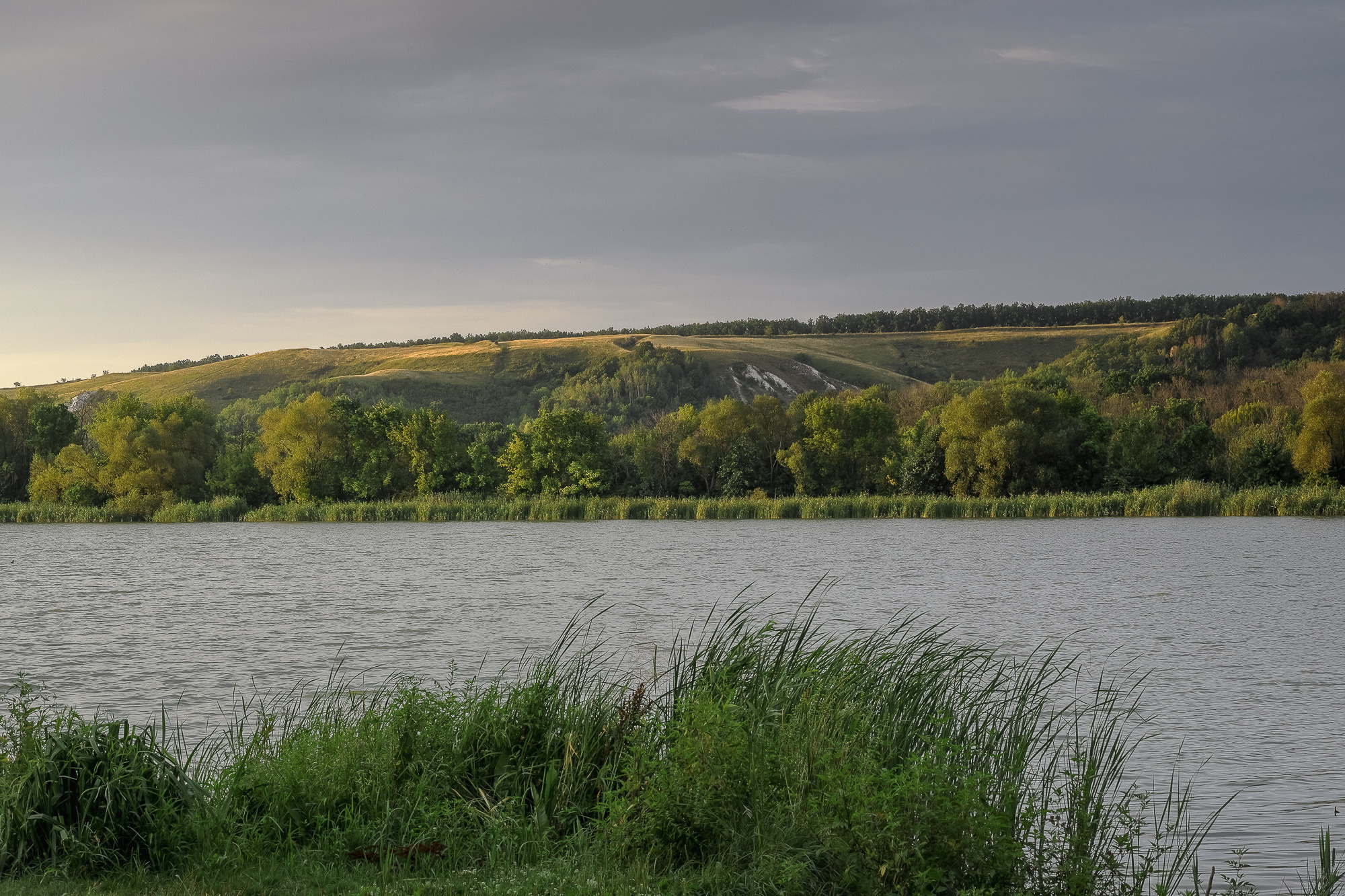 Дивногорье Воронежская область