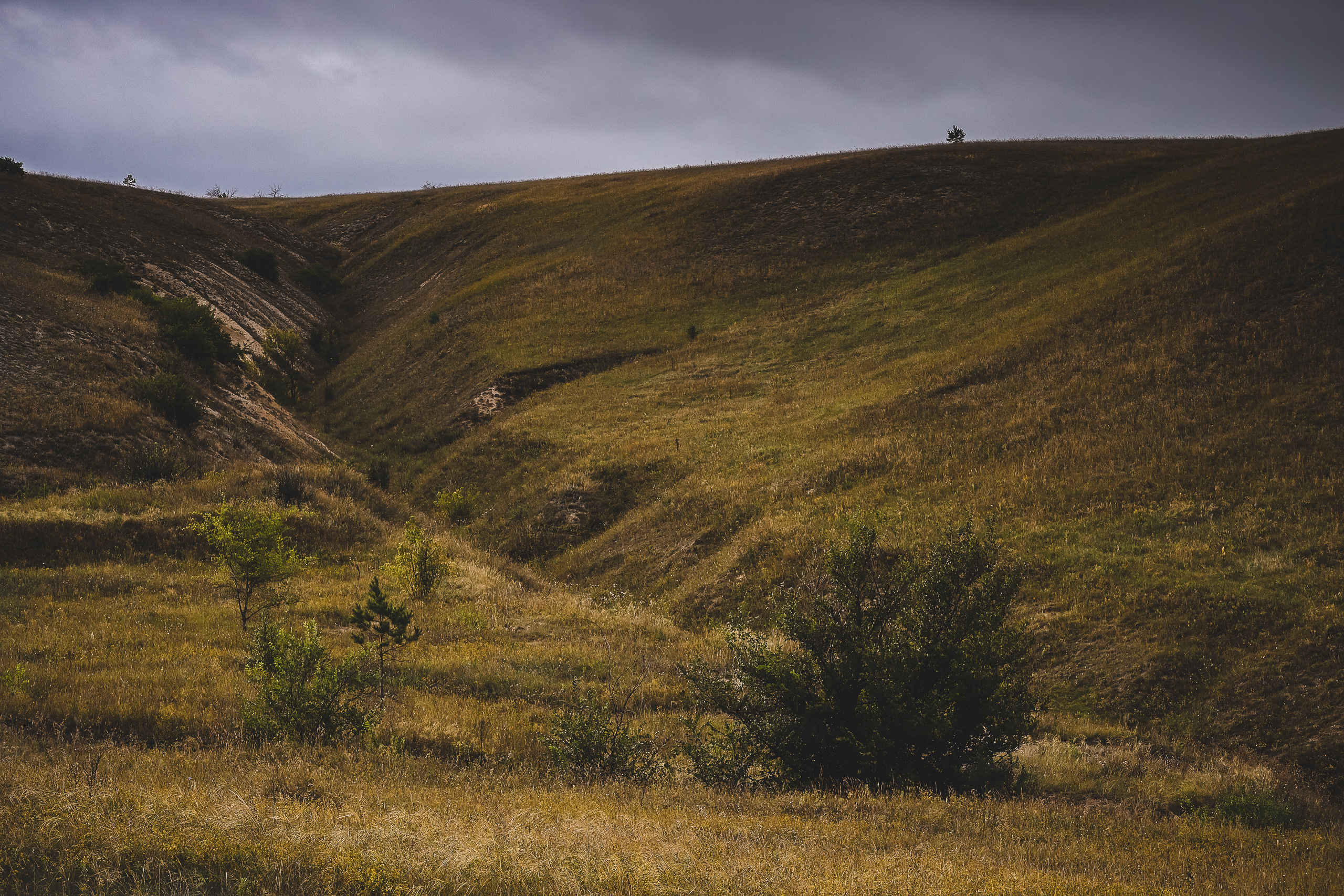 Меловая гора в заповеднике Дивногорье на месте археологической стоянки диких лошадей