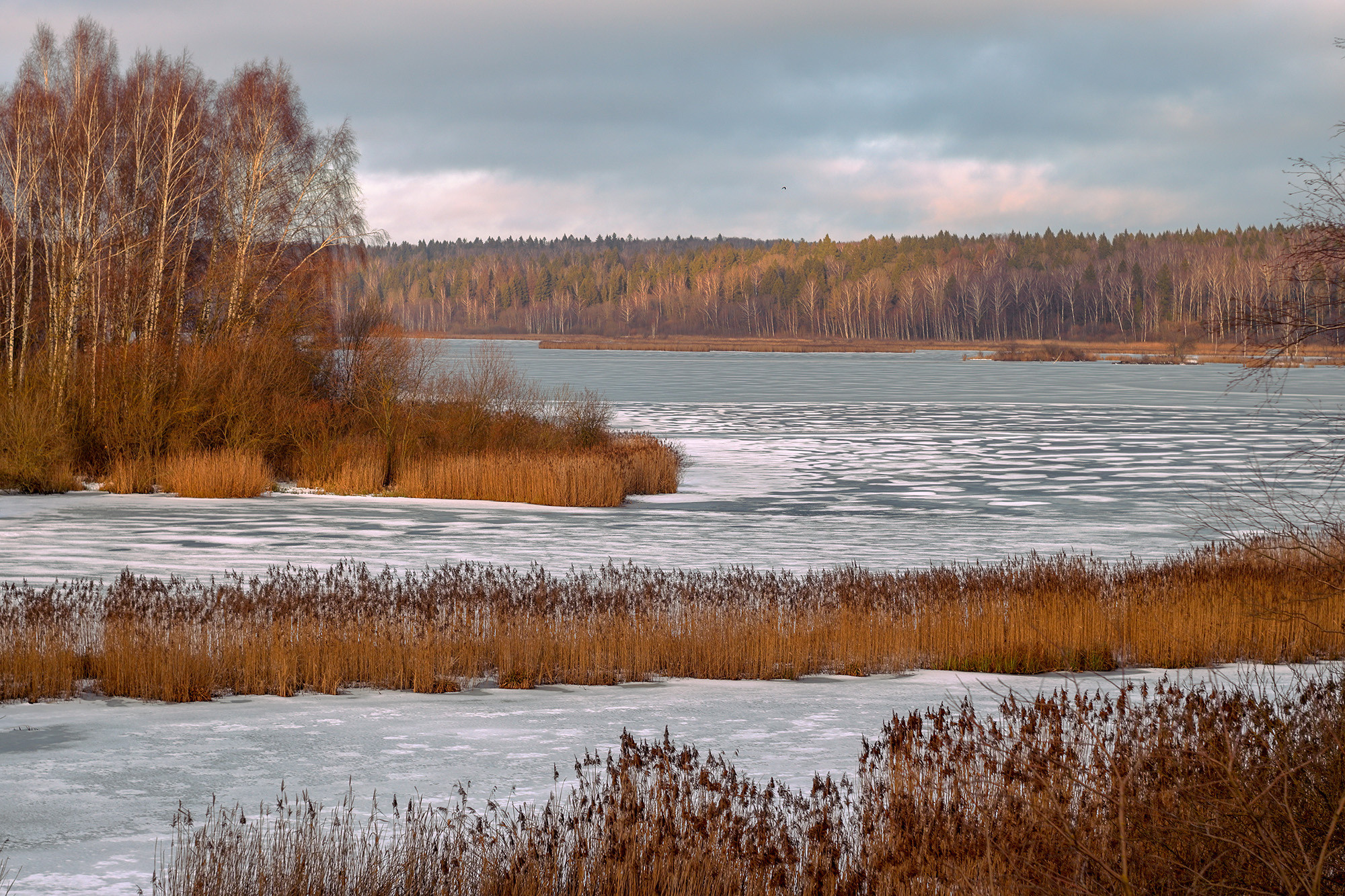 Северный берег озера Сенеж, самого крупного озера Подмосковья, зимой.