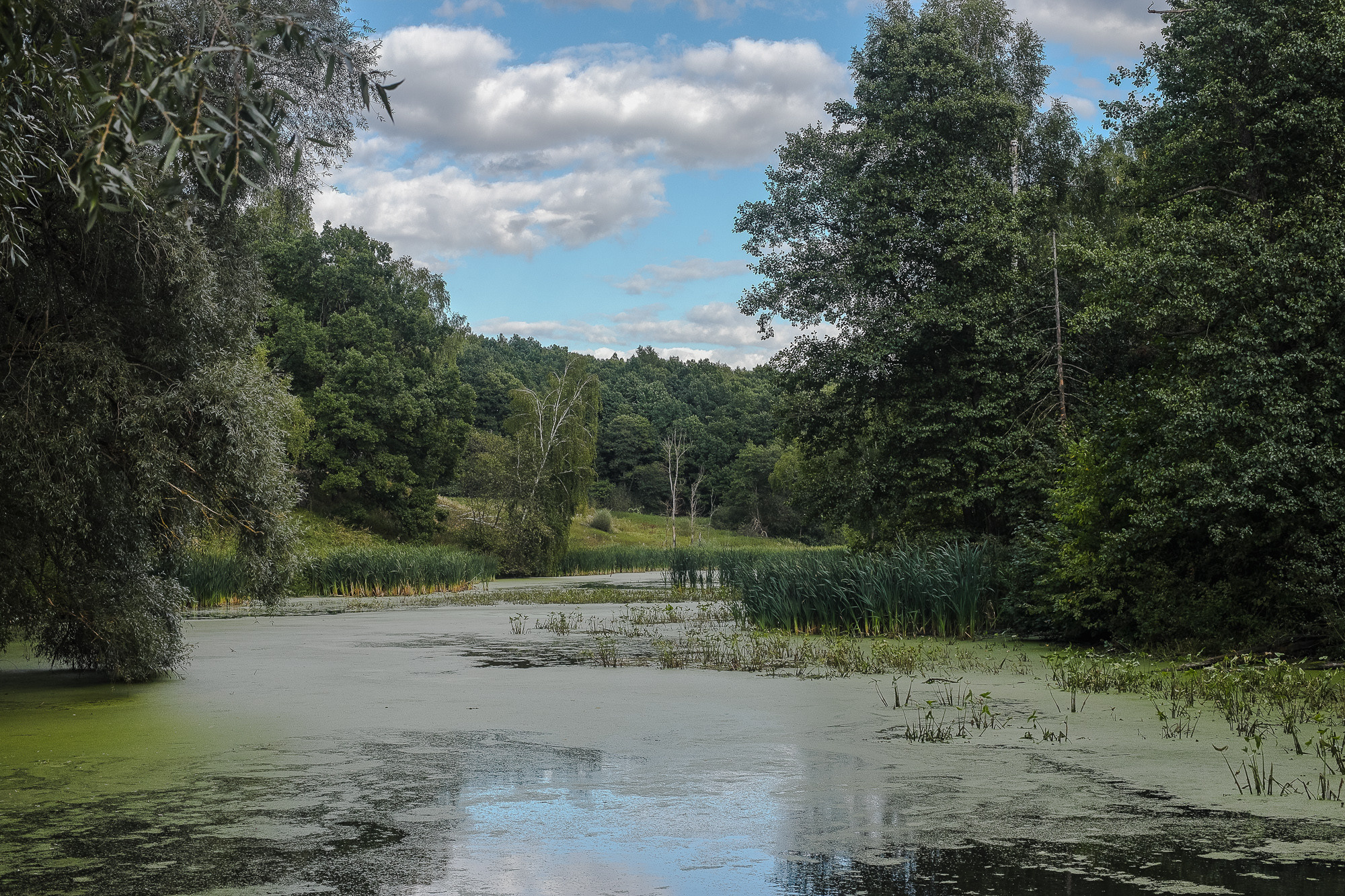 Осенняя тишина реки Жданка