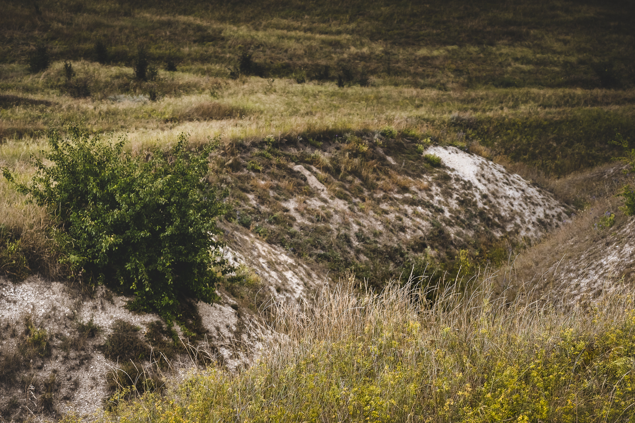 Каньон в меловых горах Воронежской области